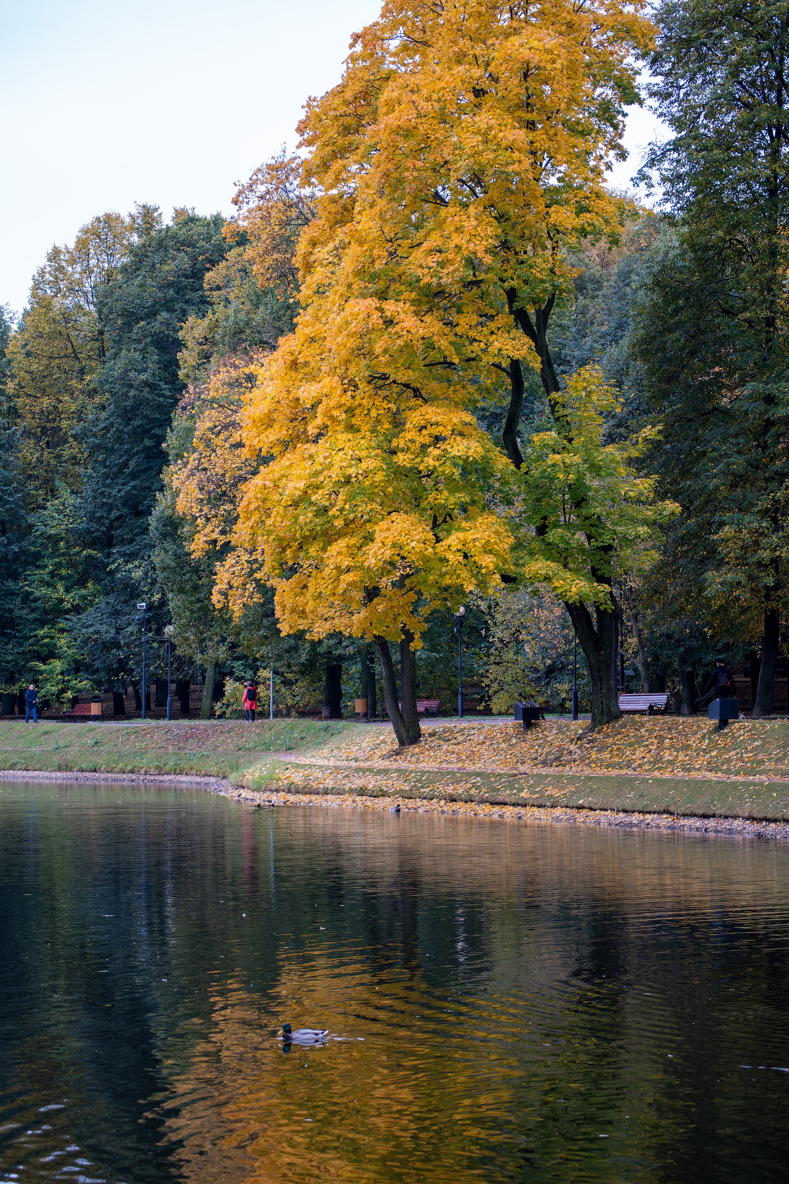 Осенняя фотосессия в Екатерининском парке