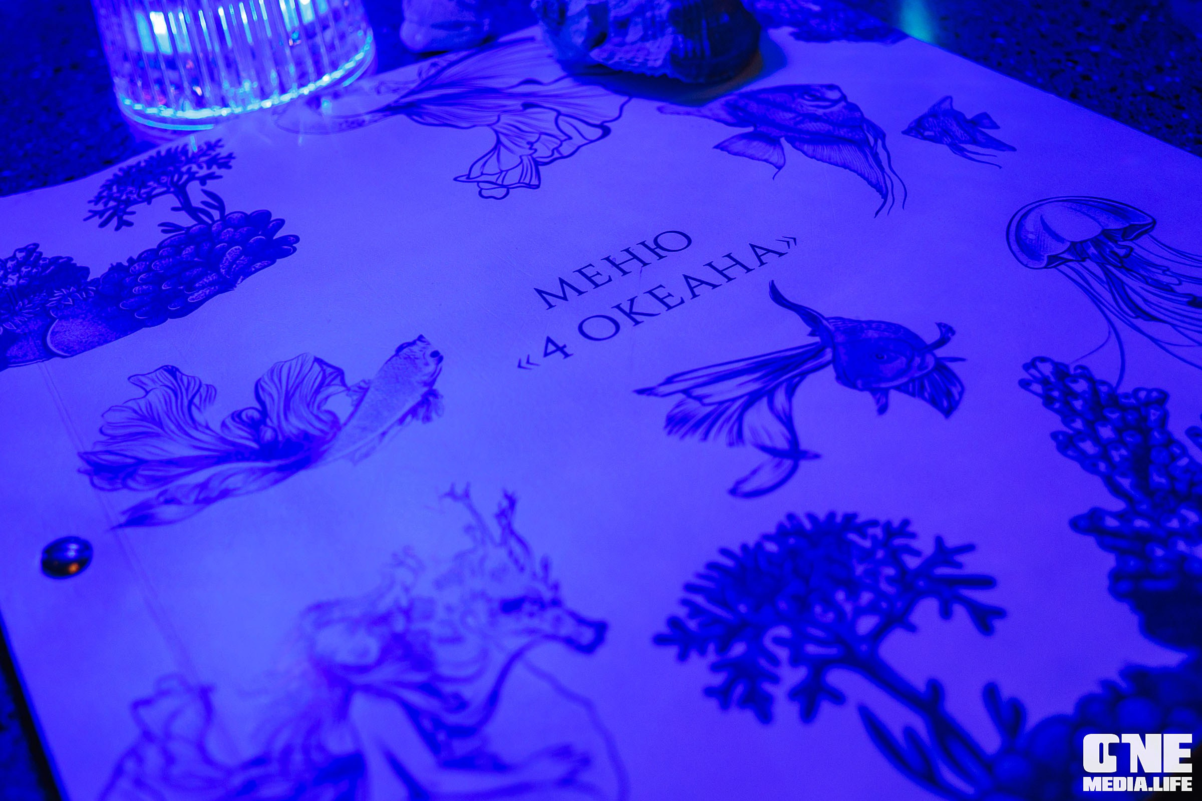 Фоторепортаж из ресторана Океан. One Media Life: фоторепортажи, фотоотчеты с мероприятий и заведений