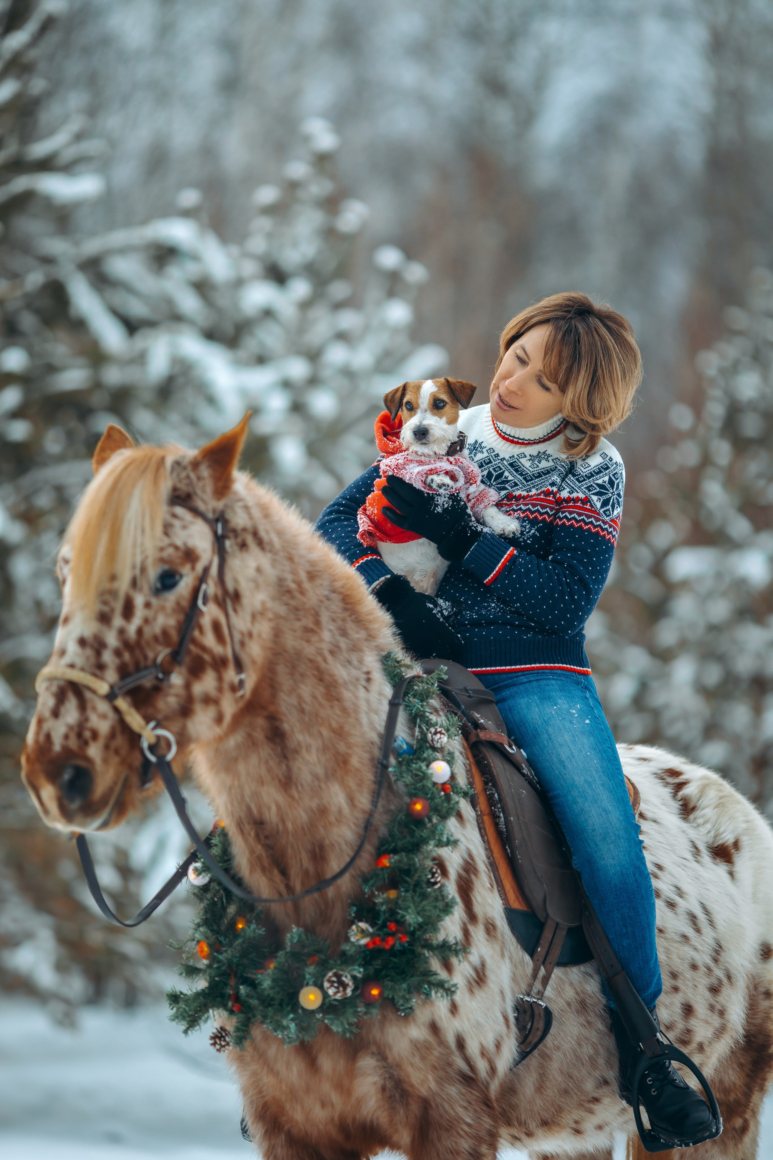 Тариф новогодний 2024. Анна Молчанова конный фотограф в Тюмени | фотосессии с лошадьми Тюмень