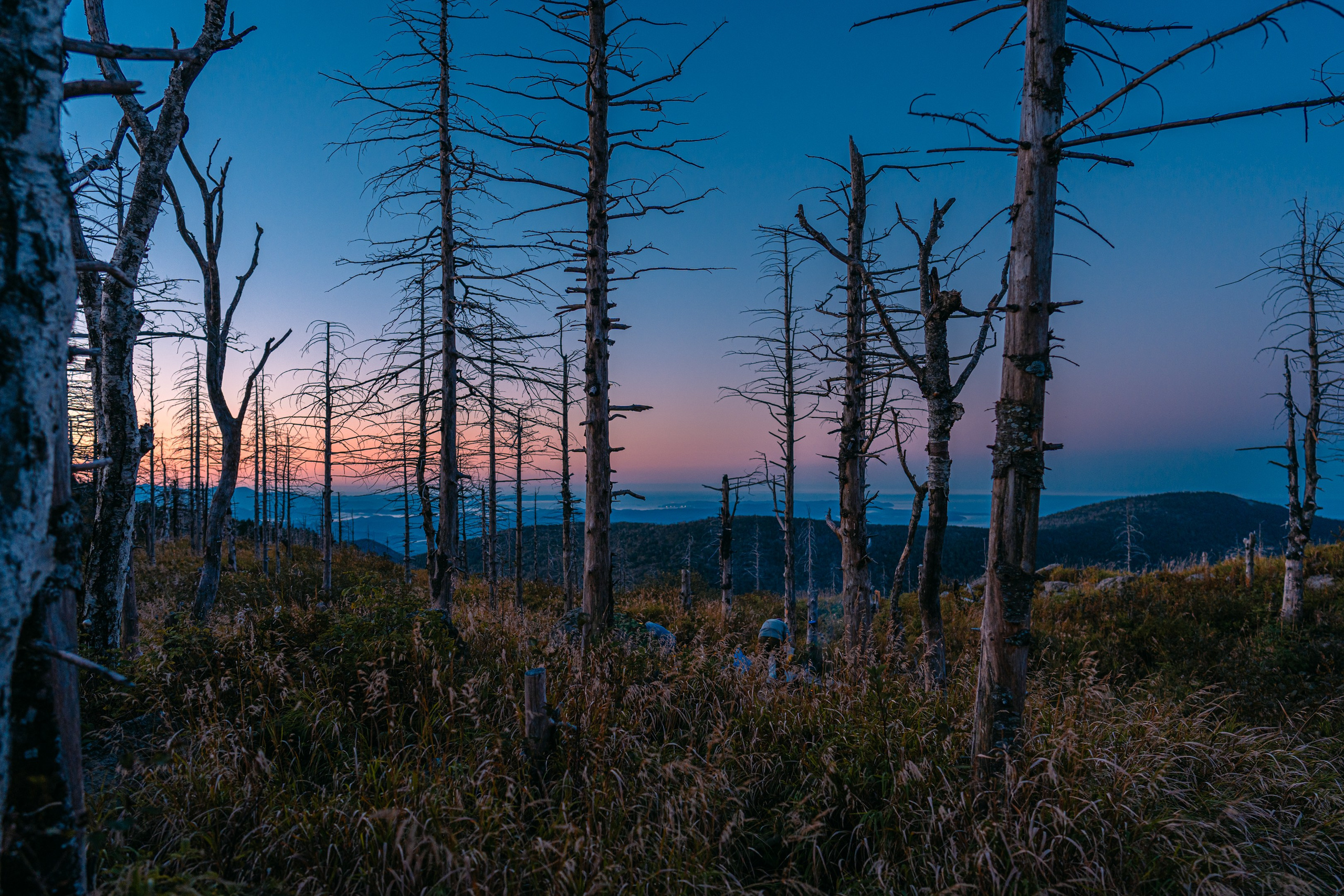 Гора Литовка (Фалаза). Иван Зайцев (IZIART) — создание культурного кода через фото и видео