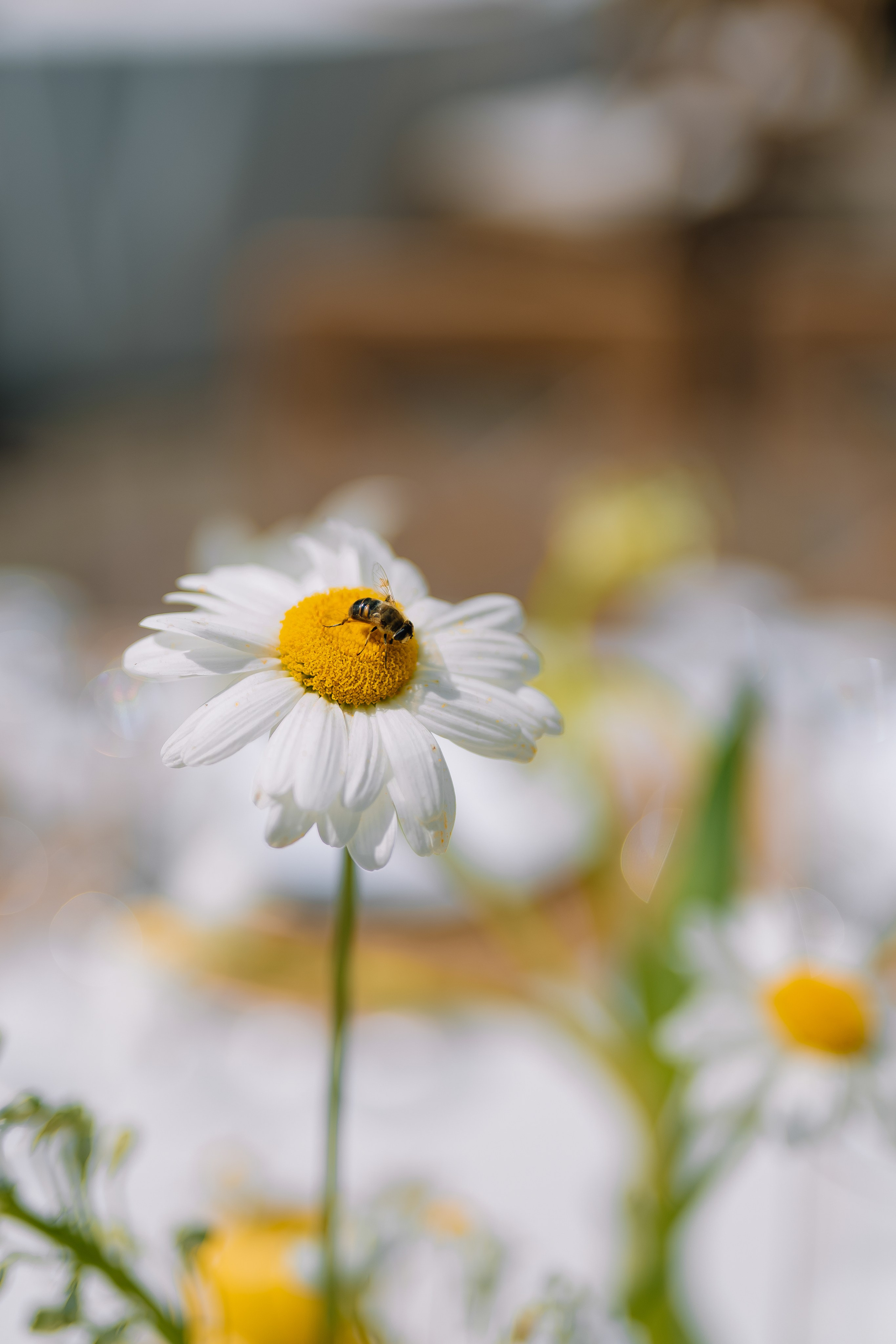 Новая глава кривой. Свадебный Фотограф Минск || Фото и Видеосъёмка Минск || Другие города