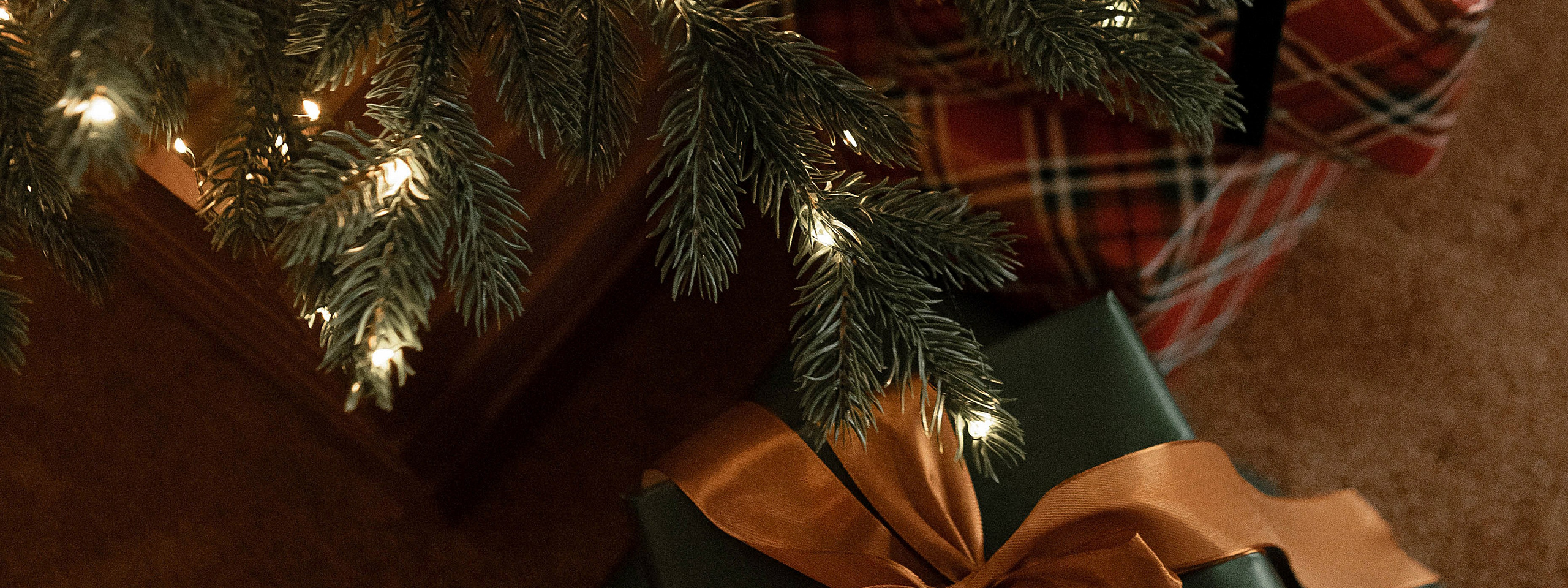 Фотограф Тверь | Татьяна Белова. Фотограф Тверь | Татьяна Белова