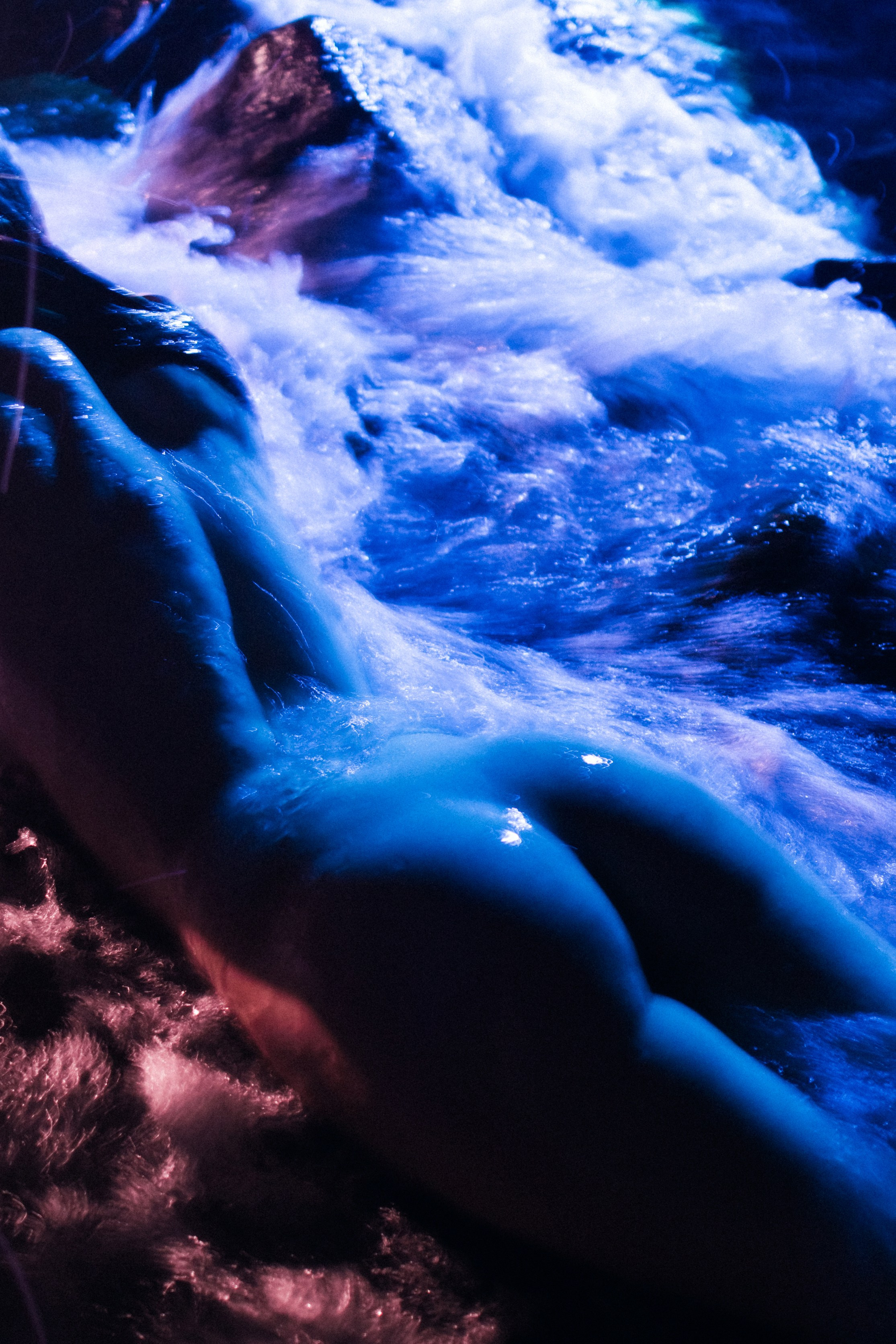 Фотопроект «Зарождение жизни»