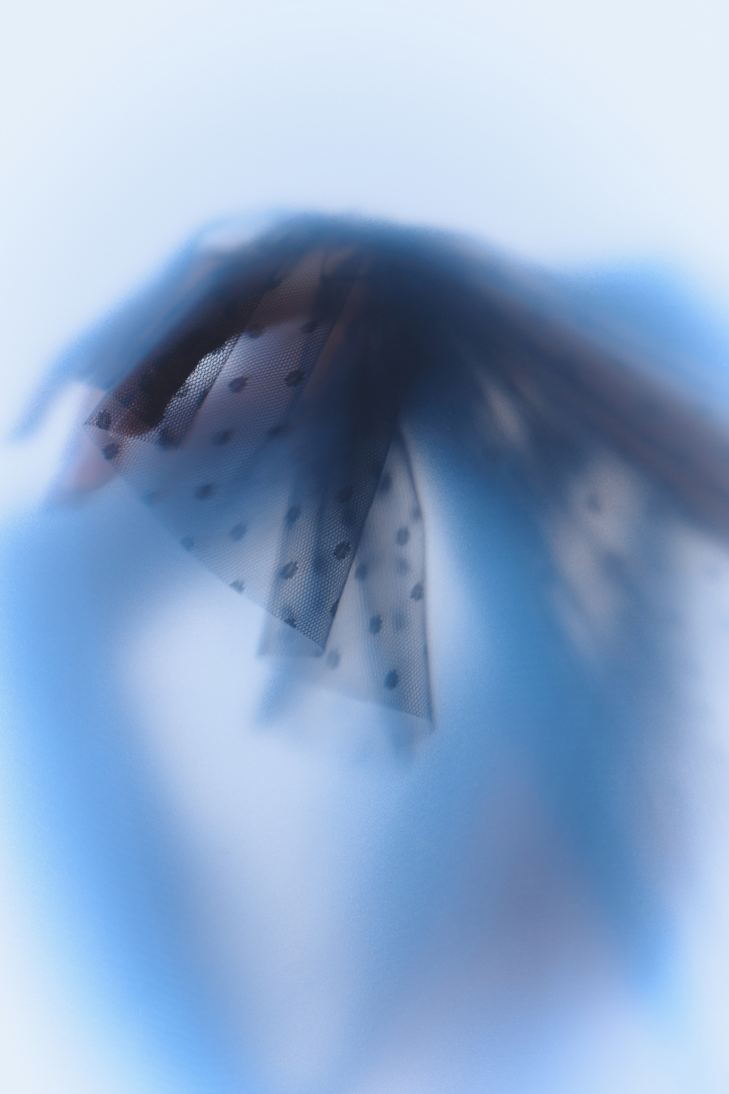 Фотосессия в образе балерины в платье сетка СИНИОКО. Одежда из Санкт-Петербурга СИНИОКО