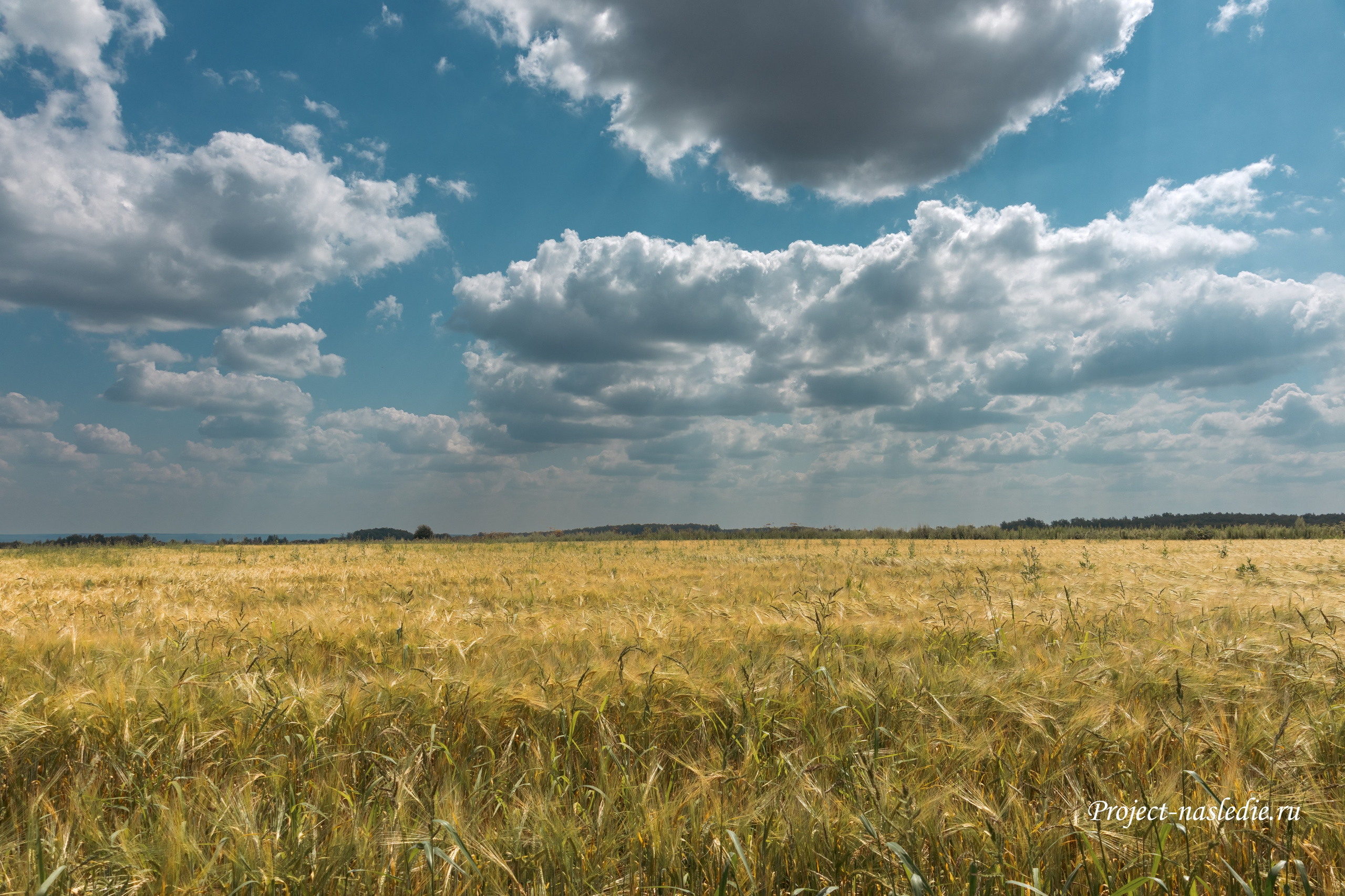 Заброшенные объекты культурного наследия России и уникальные памятники архитектуры | Проект «Наследие»
