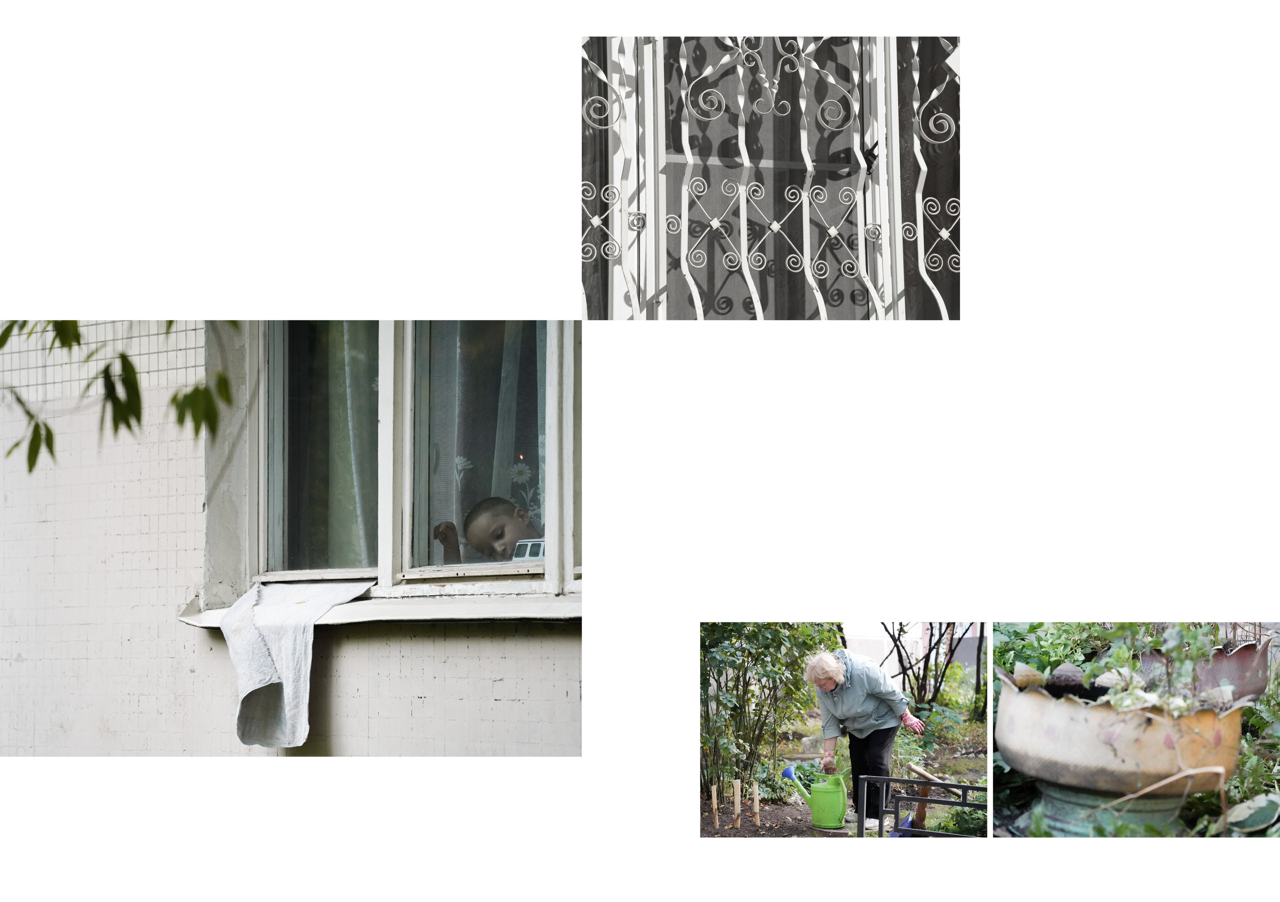 Дабрабыт. 2025— сейчас. Pasha Borisenko