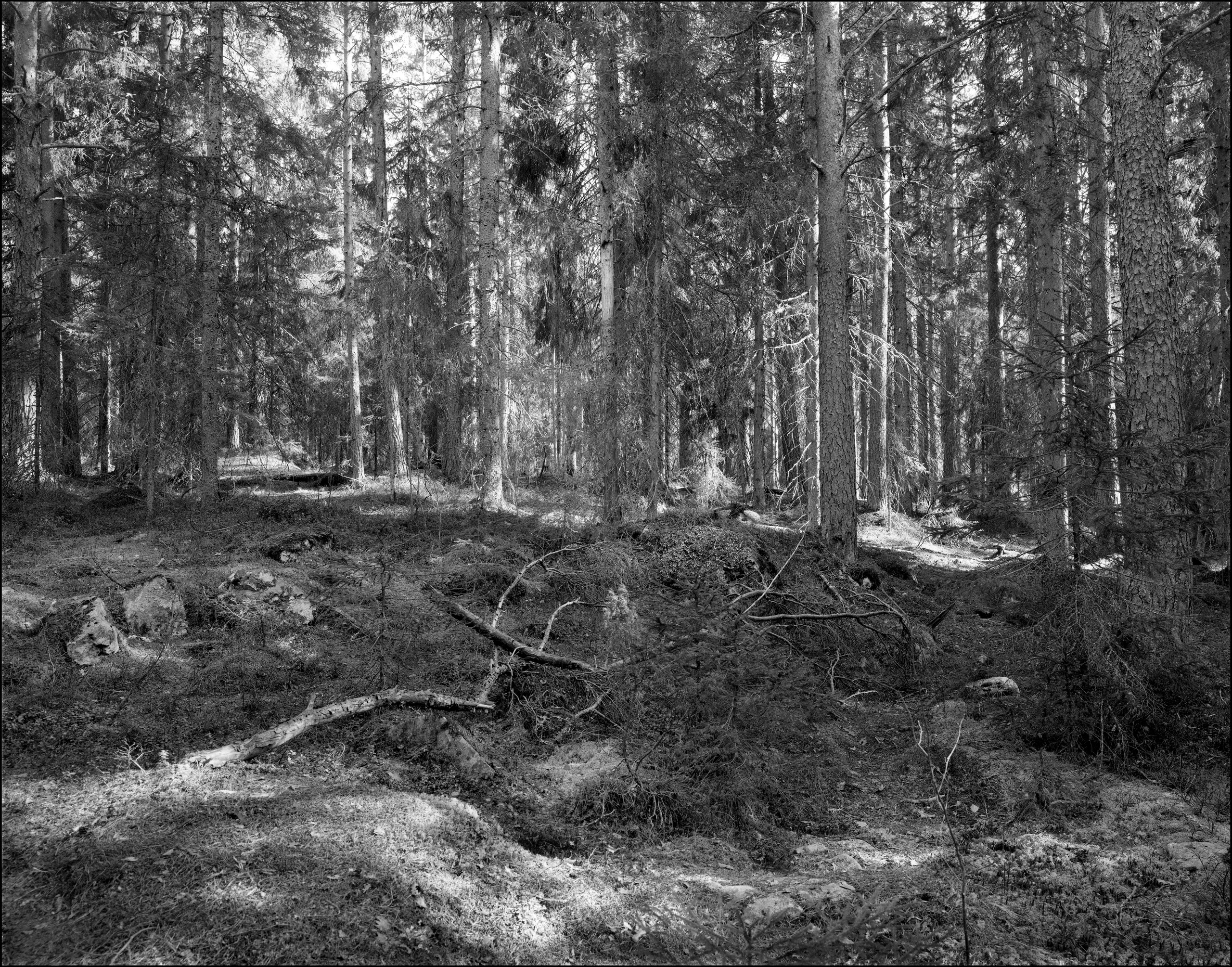 Landscape. Sergey Kondriuk art-photographer | artist