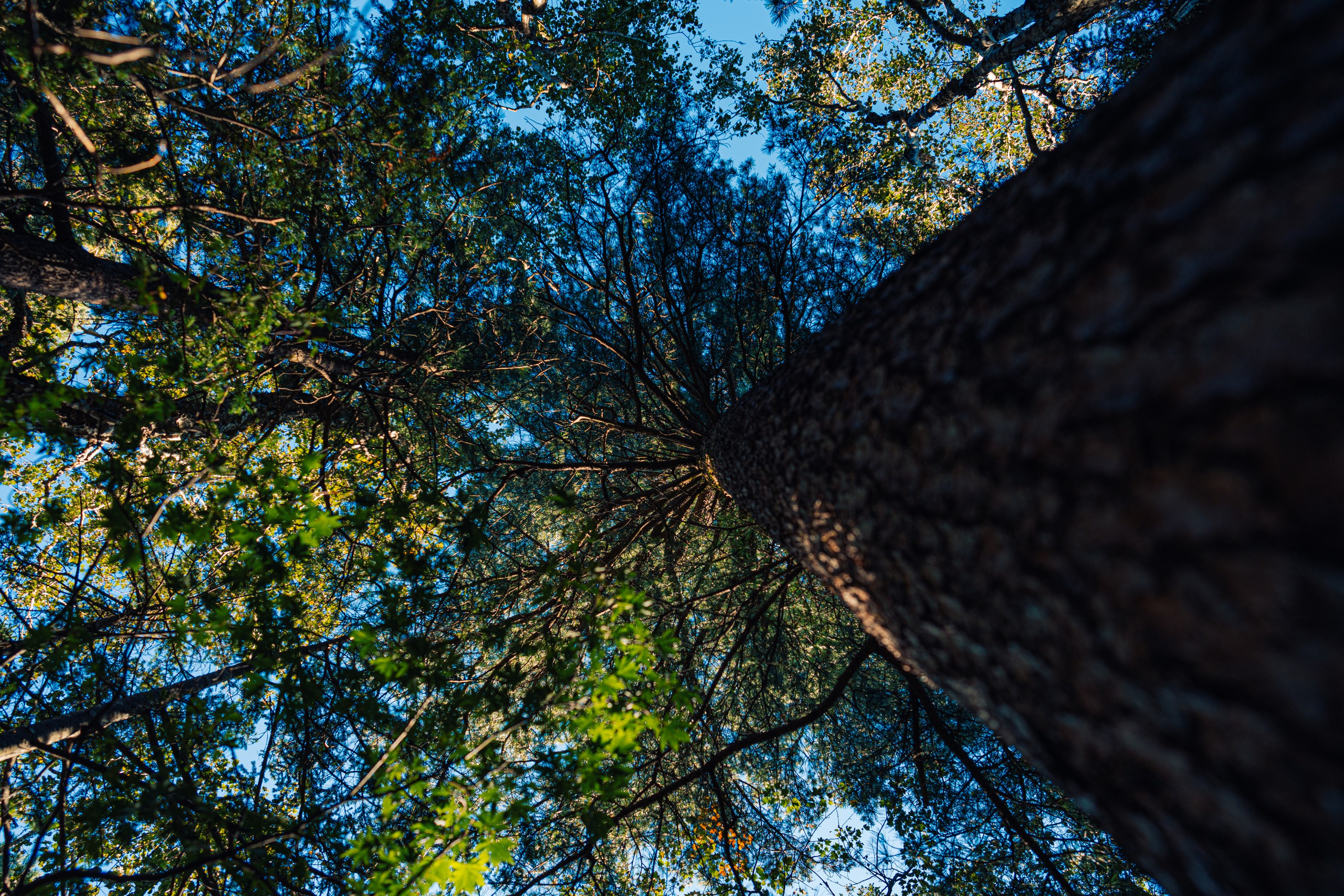 Гора Литовка (Фалаза). Иван Зайцев (IZIART) — создание культурного кода через фото и видео
