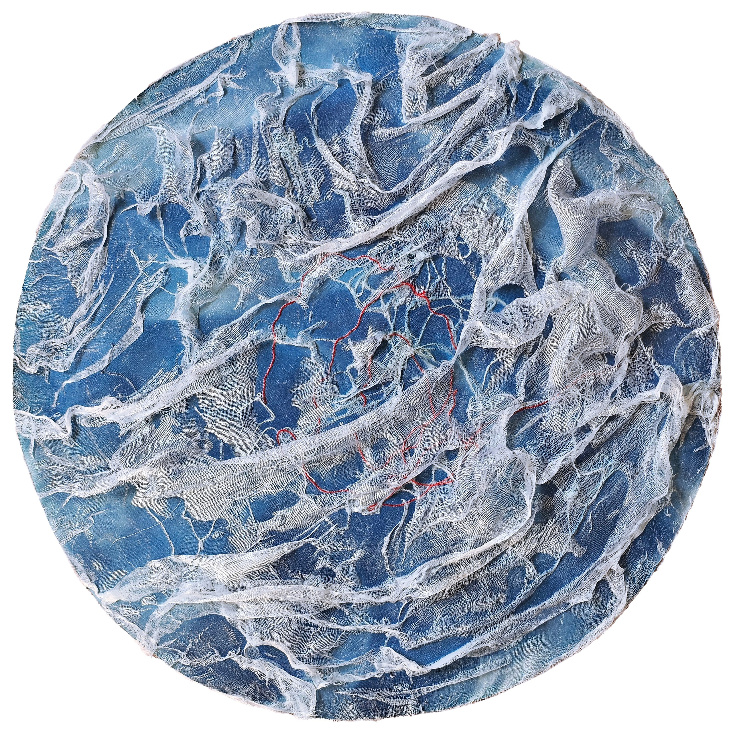 CYANOTYPE. CONTEMPORARY ARTIST OLGA ANDRIYASH
