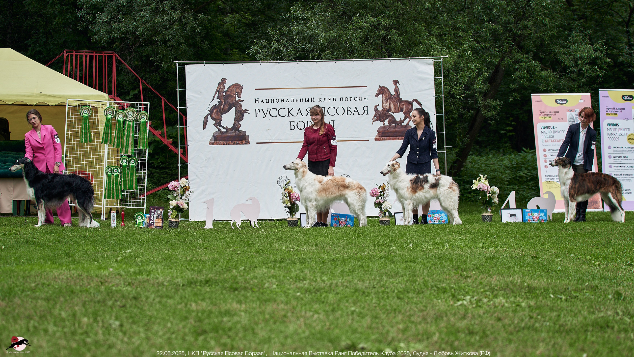 22.06.2025 | Национальная Выставка НКП "Русская Псовая Борзая"