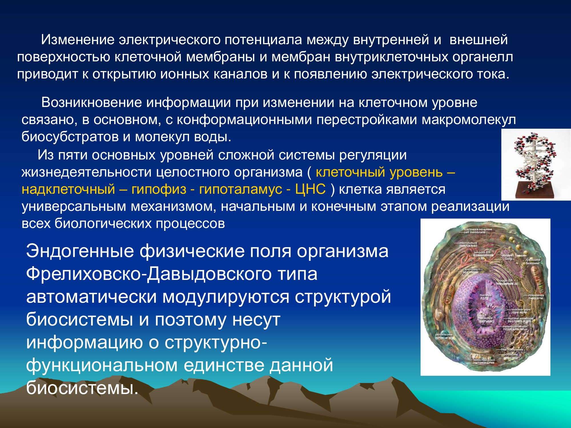 Специализированное медицинское устройство, предназначенное для воздействия на очаг патологии, БАТ электромагнитного излучения, генерируемое прибором.