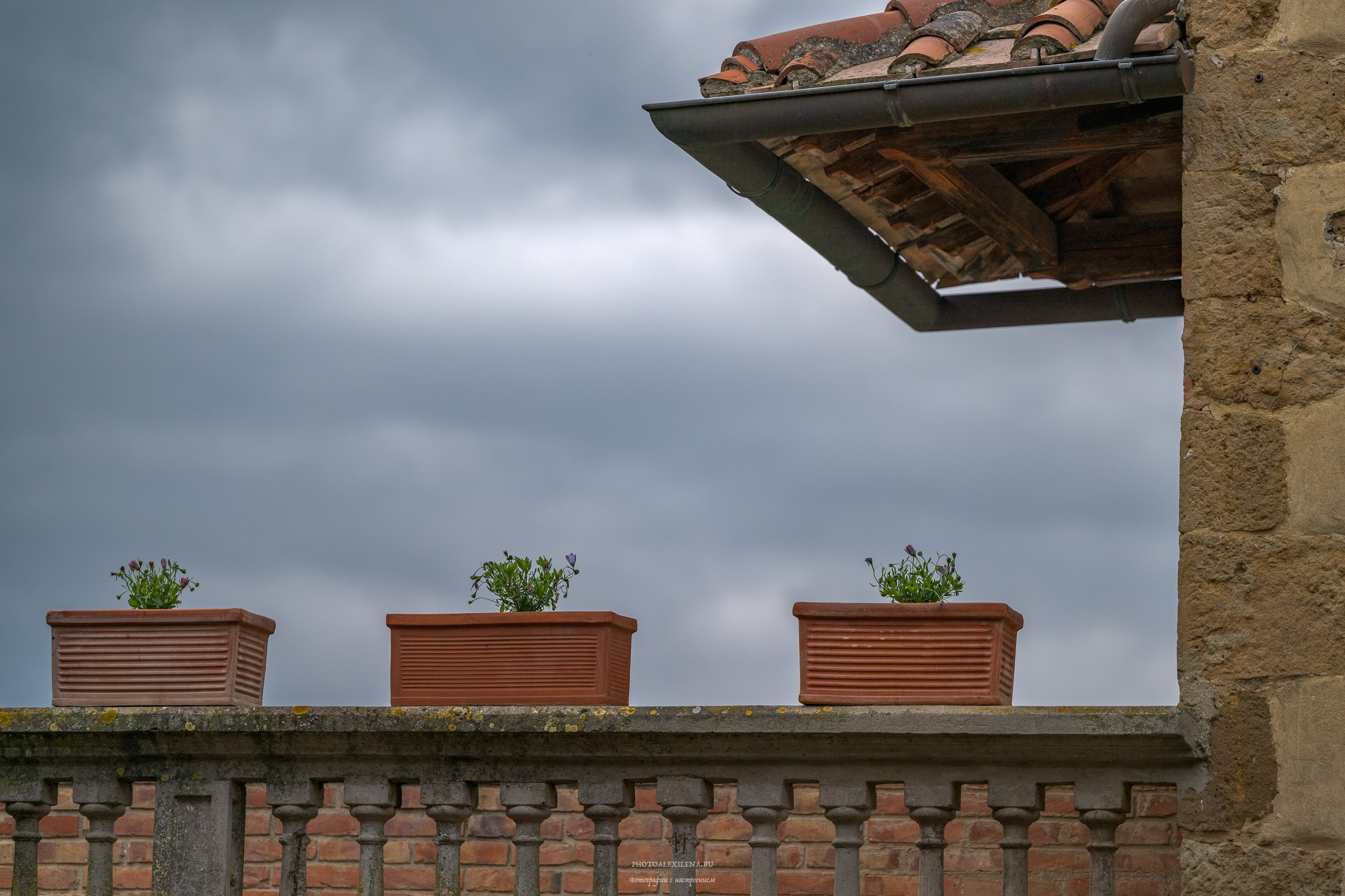 Кастельмуцио. Авторские стильные фотокартины