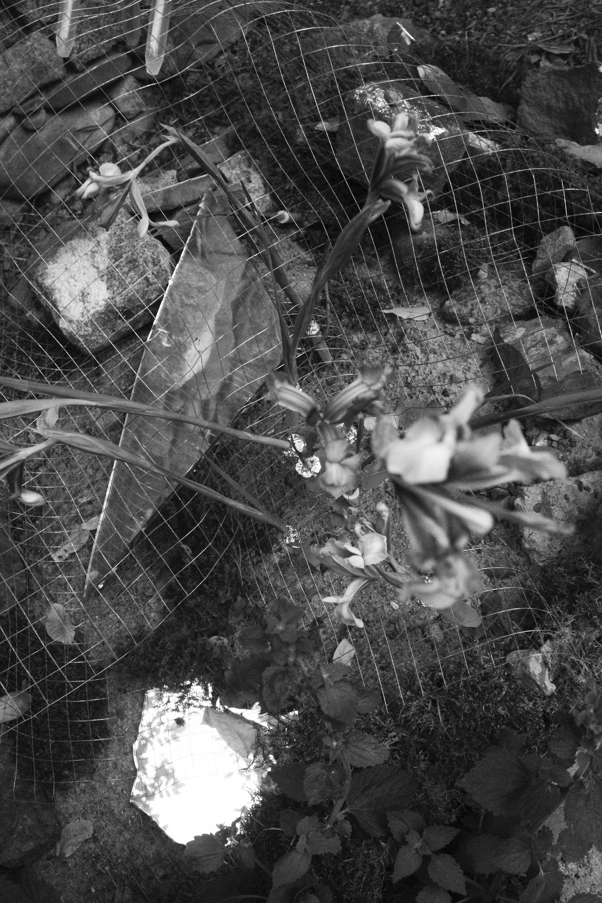 2025, UTOPIA group exhibition. KST