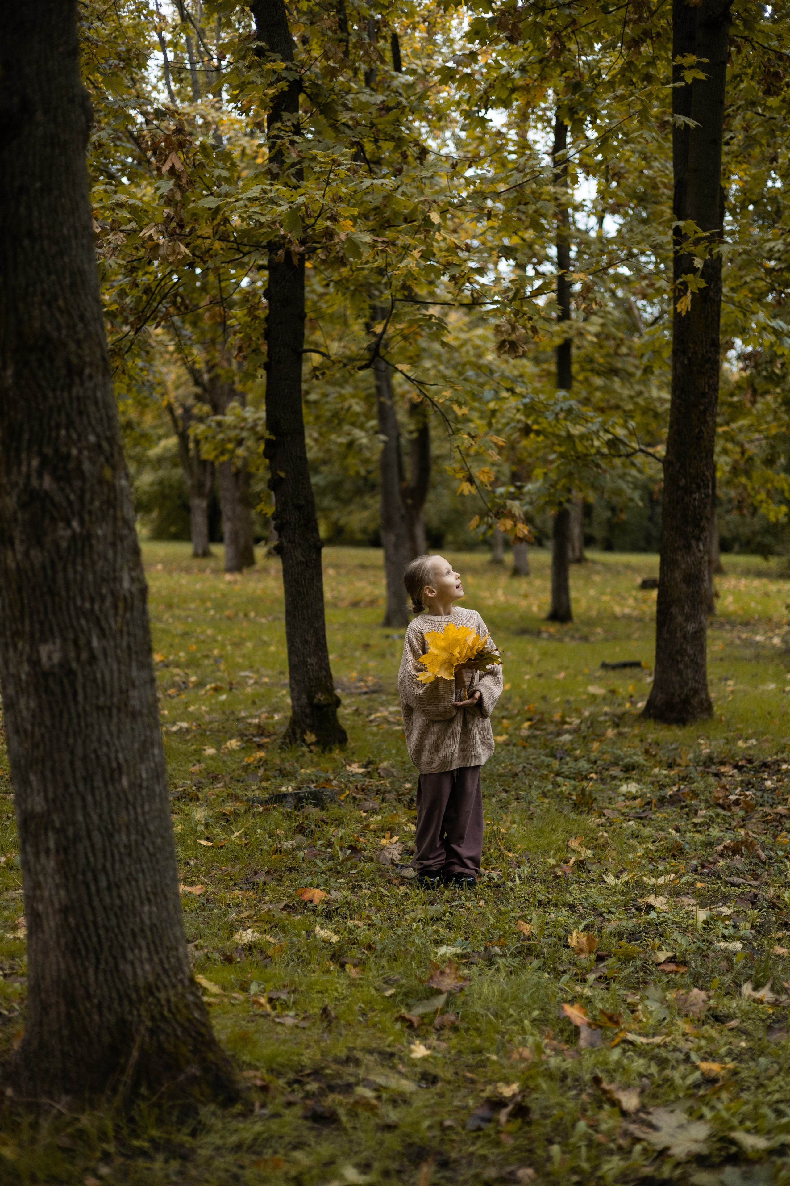 Контакты. Главная