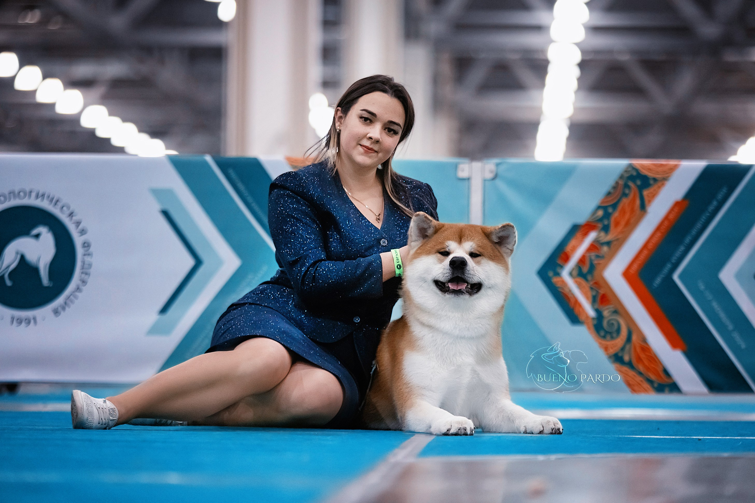 Щенки японской акита ину из питомника. Питомник собак Акита, Хаски, Корги