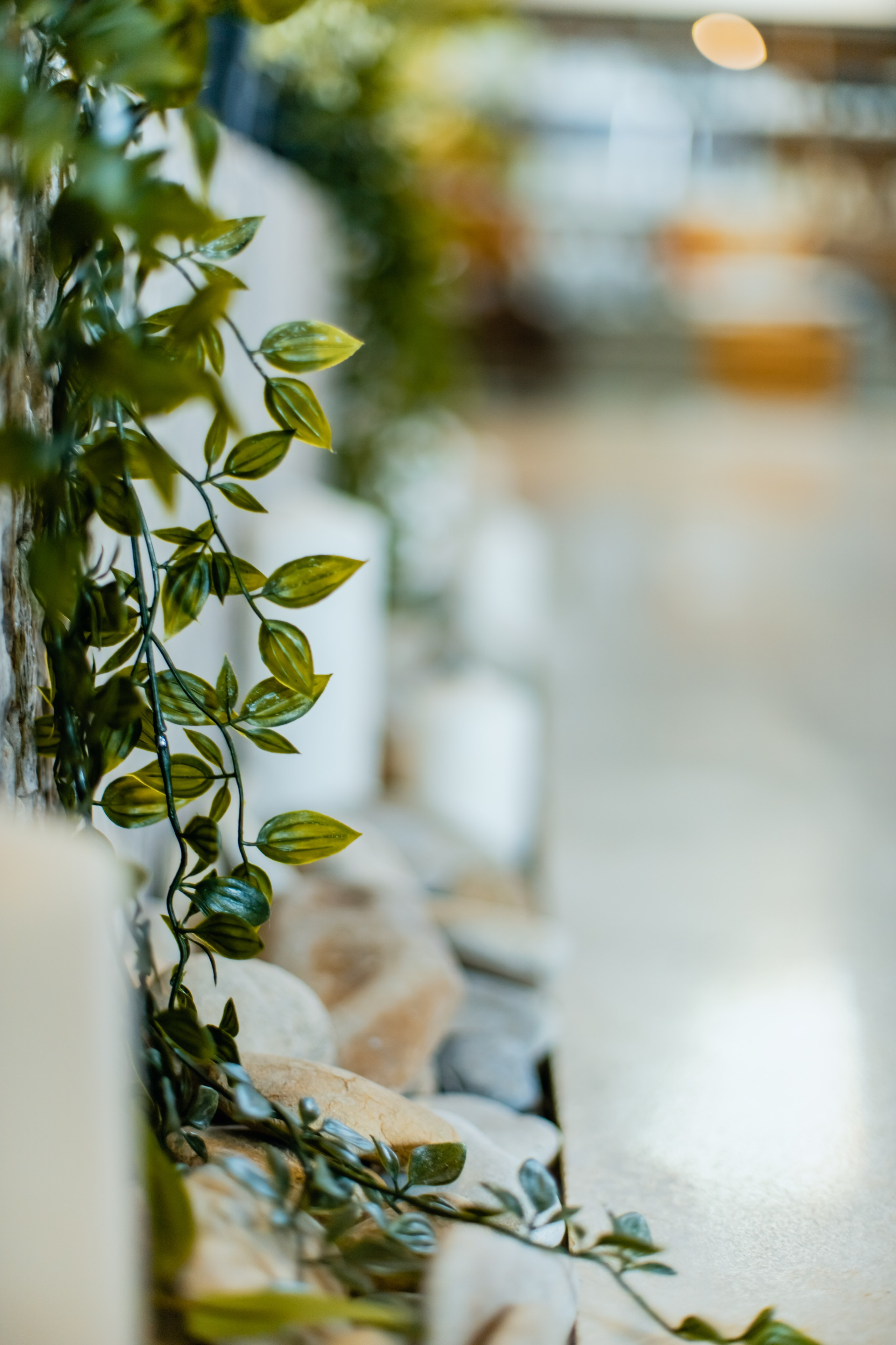 Предметная фотосъёмка. Профессиональный фотограф в Москве и МО