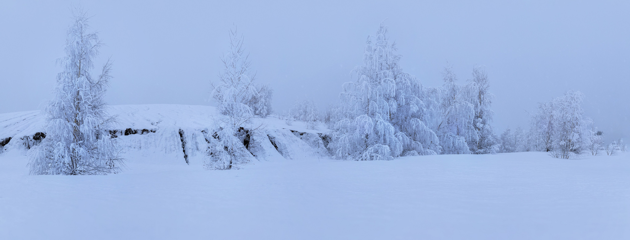 Зимние Кондуки. Пейзажная и архитектурная фотография в Туле, Татьяна Silva