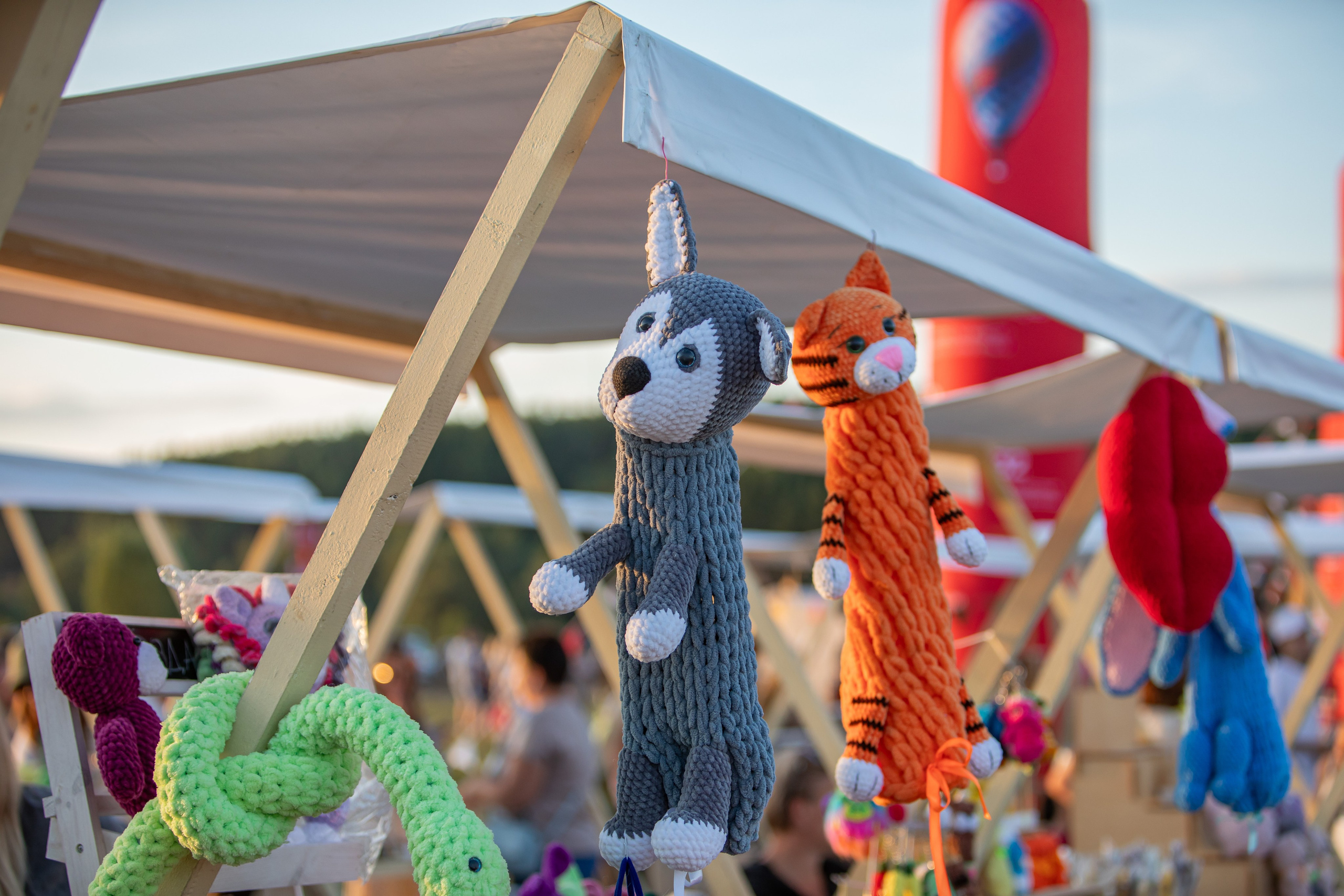 Небо России 2024, г. Рязань. Фотограф Сергей Ловкий