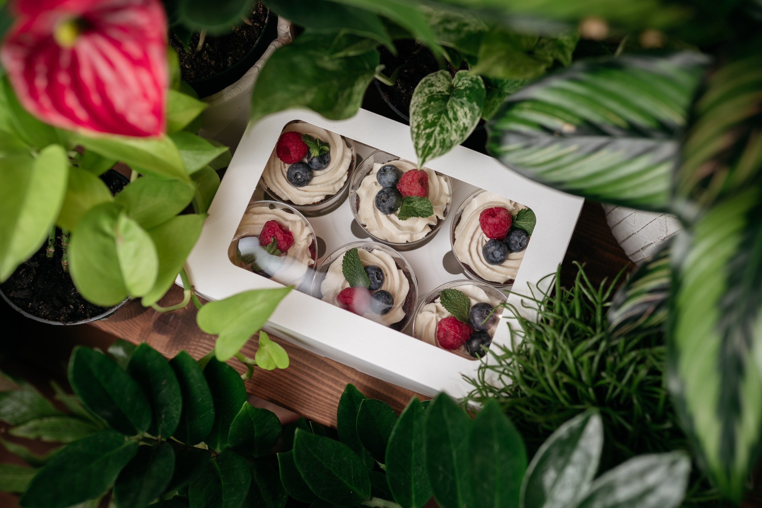 Проекты для блога и бренда. ИТВИ