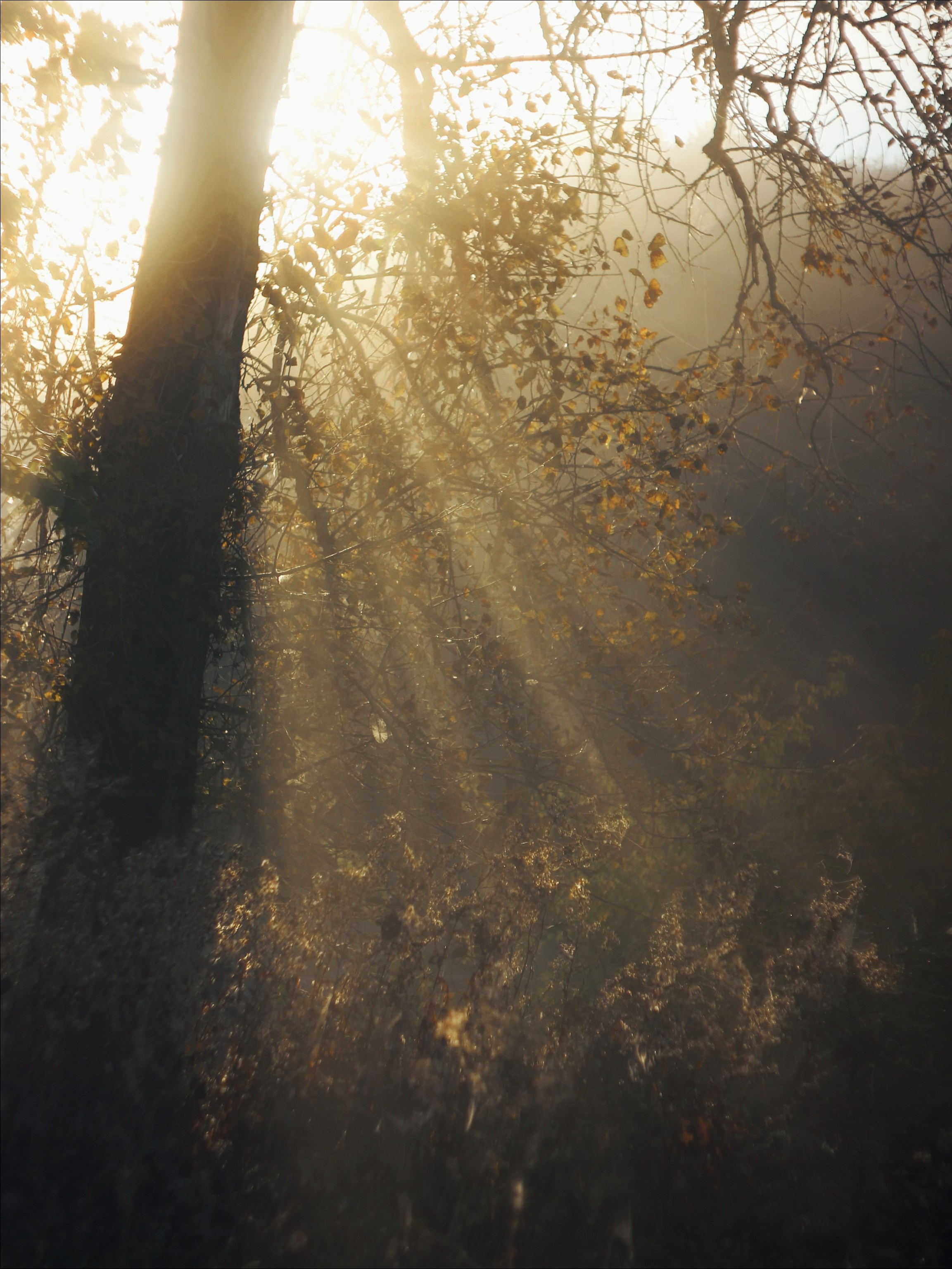Опустошенность. С любовью, фотохудожник