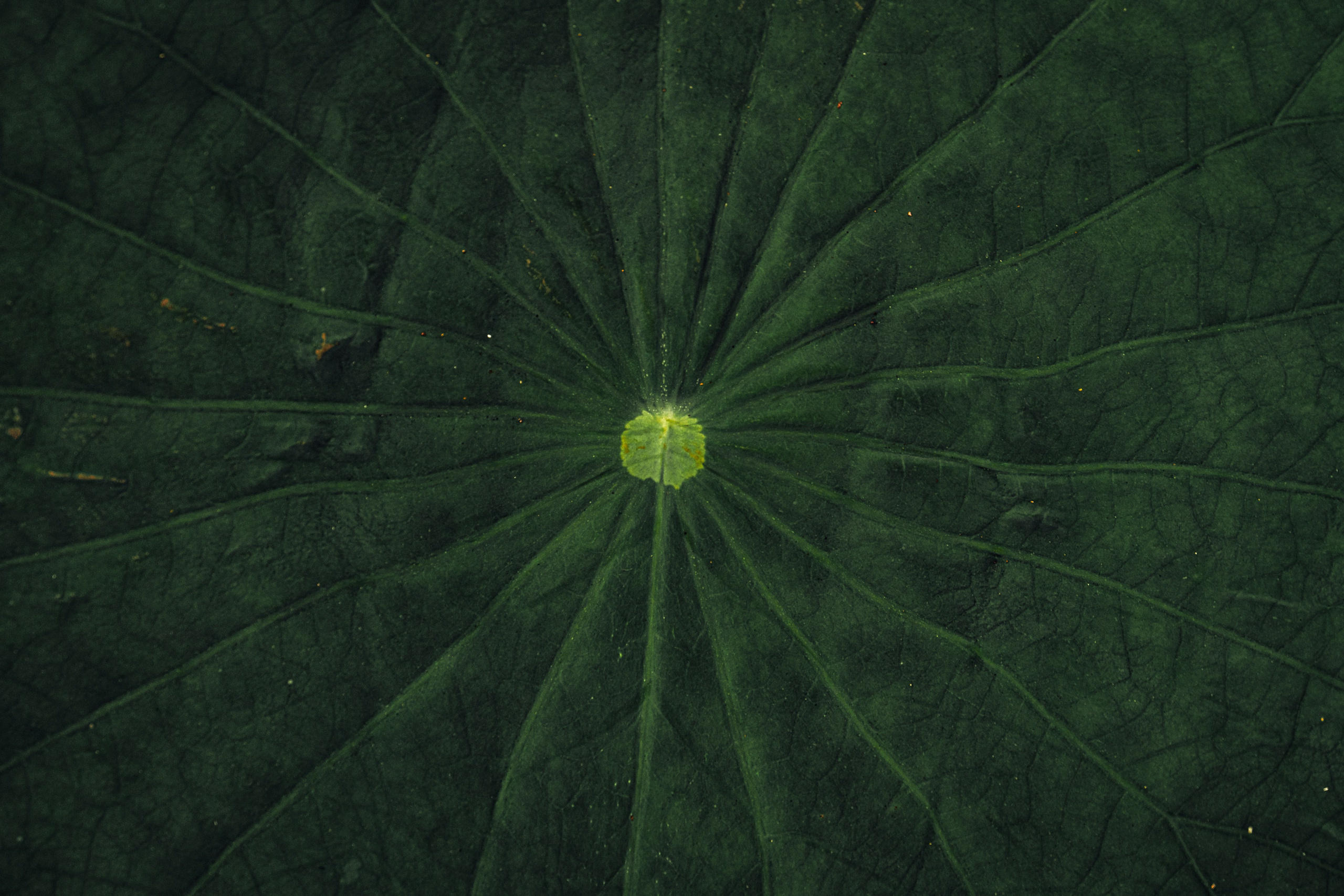 Пруд «Семейный» | с. Петровка. Иван Зайцев (IZIART) — создание культурного кода через фото и видео