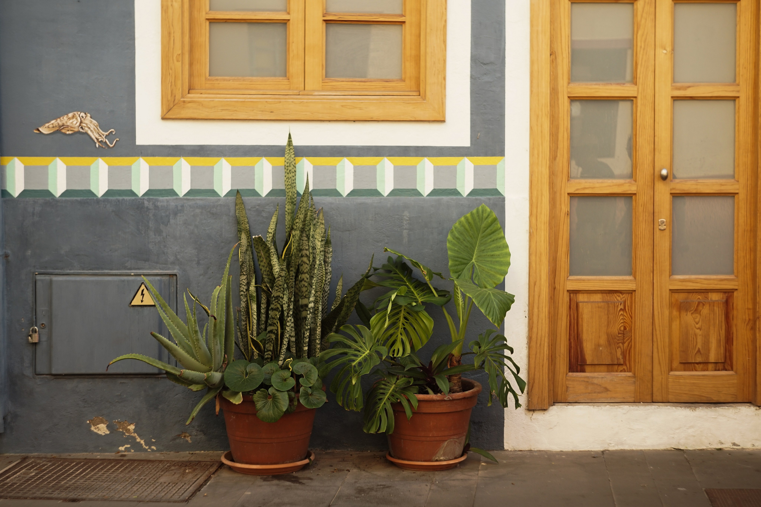 Tenerife. Фотограф и видеограф в Израиле Соня Скай