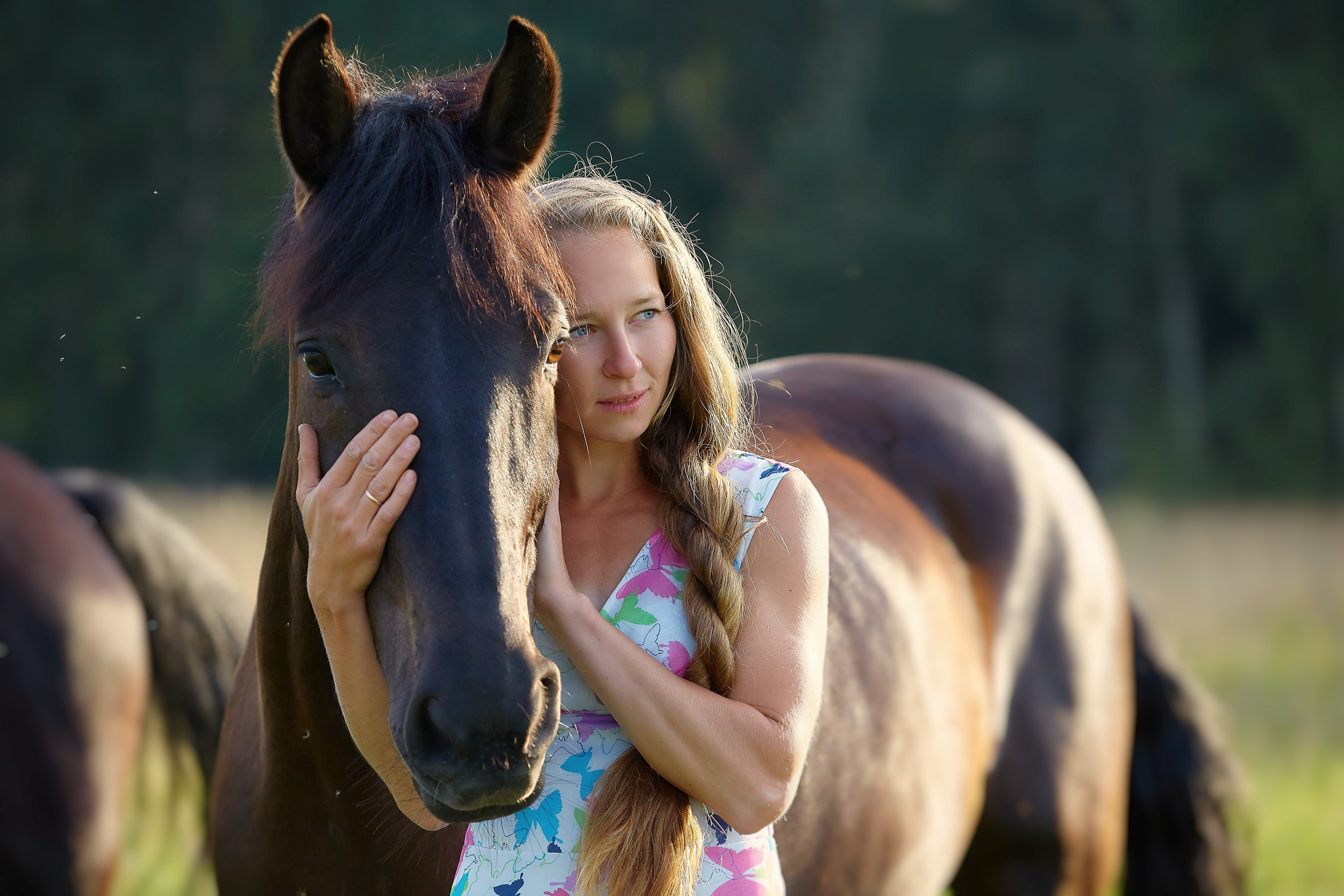 Фотосессия с лошадьми Фотограф Михаил Семенов, г. Ярославль