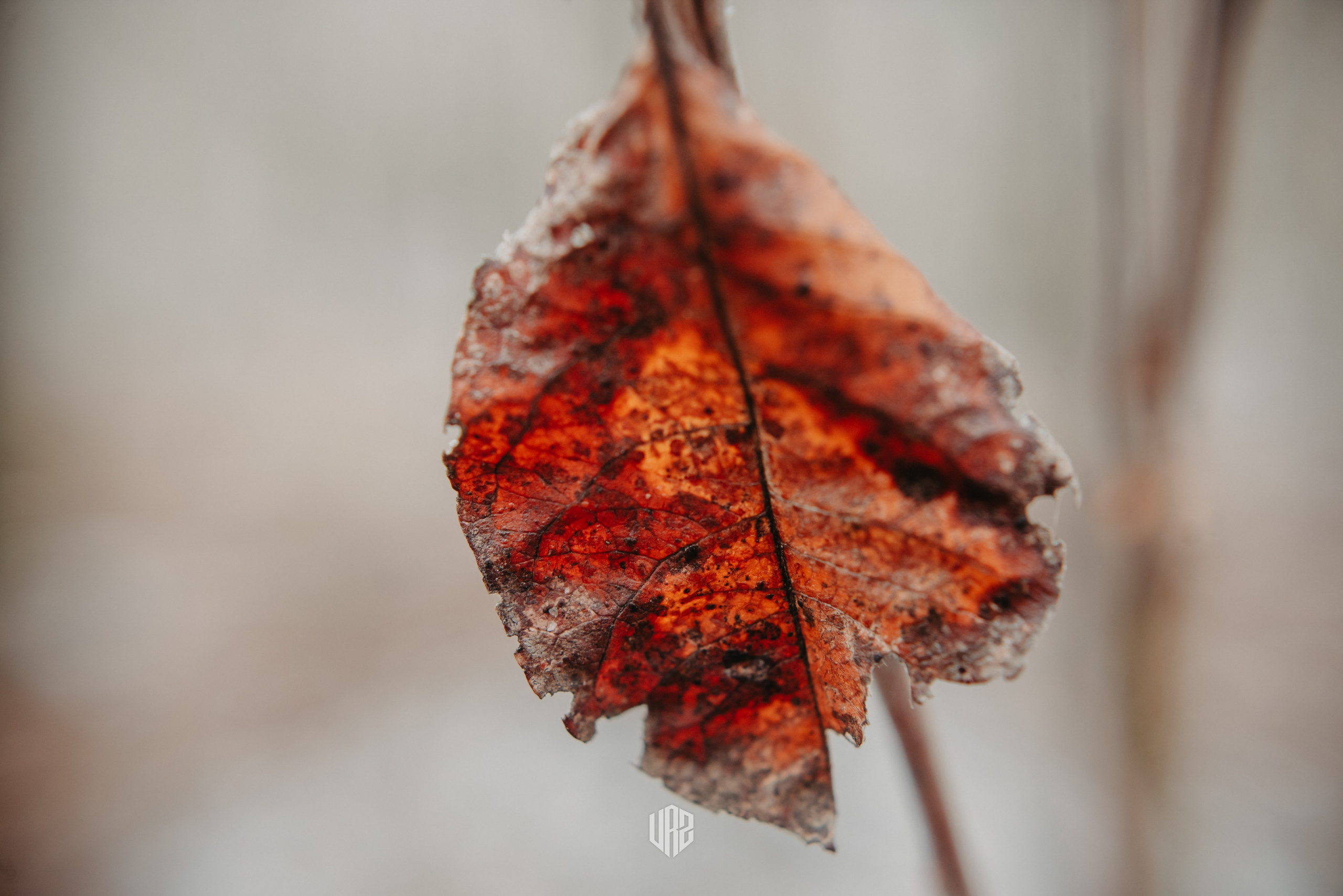 «Затерянное Вятки». Путь на «поющие пески». Контент фотограф Илья Урс