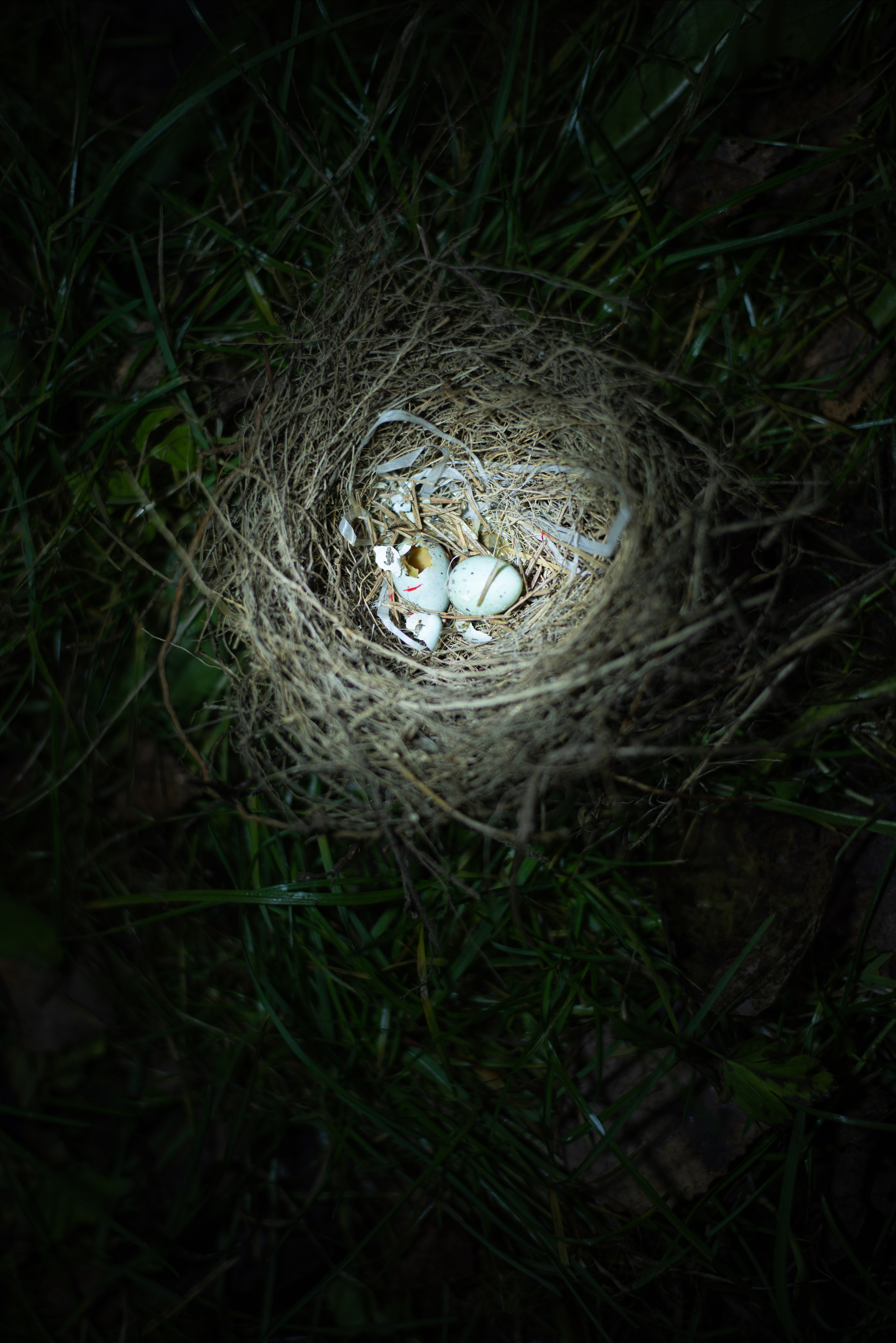 Мы пьем воду из одной реки (2021). Междисциплинарный художник и режиссер София Меликова