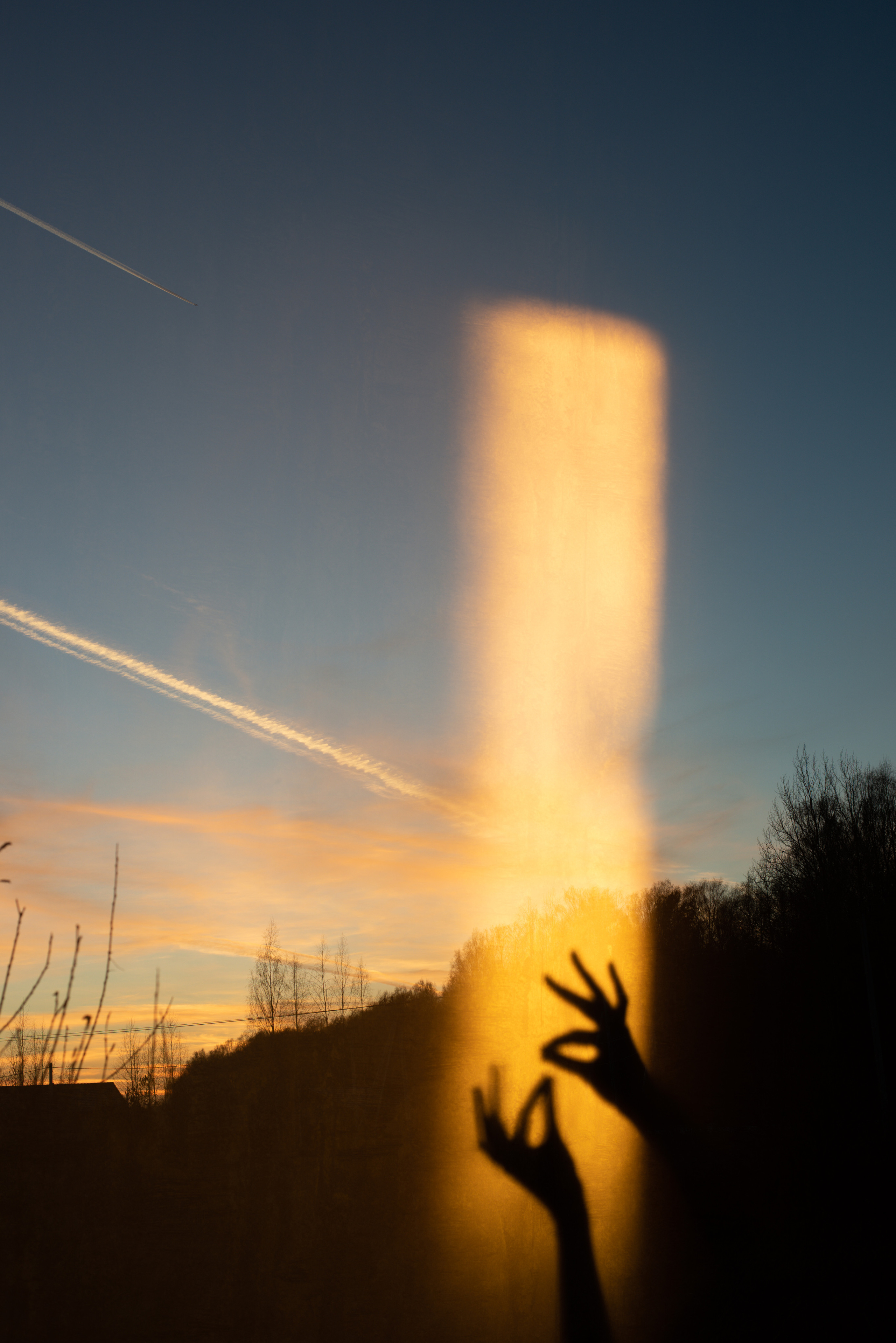 Мы пьем воду из одной реки (2021). Междисциплинарный художник и режиссер София Меликова