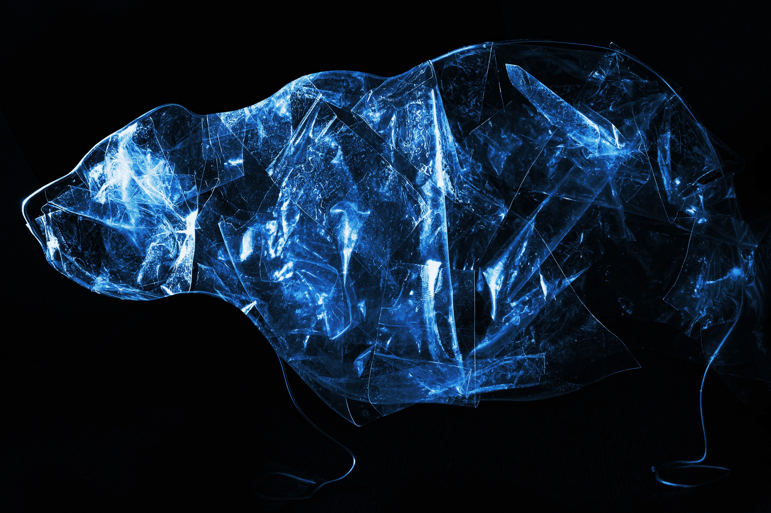 Мексиканский гризли - 1960.