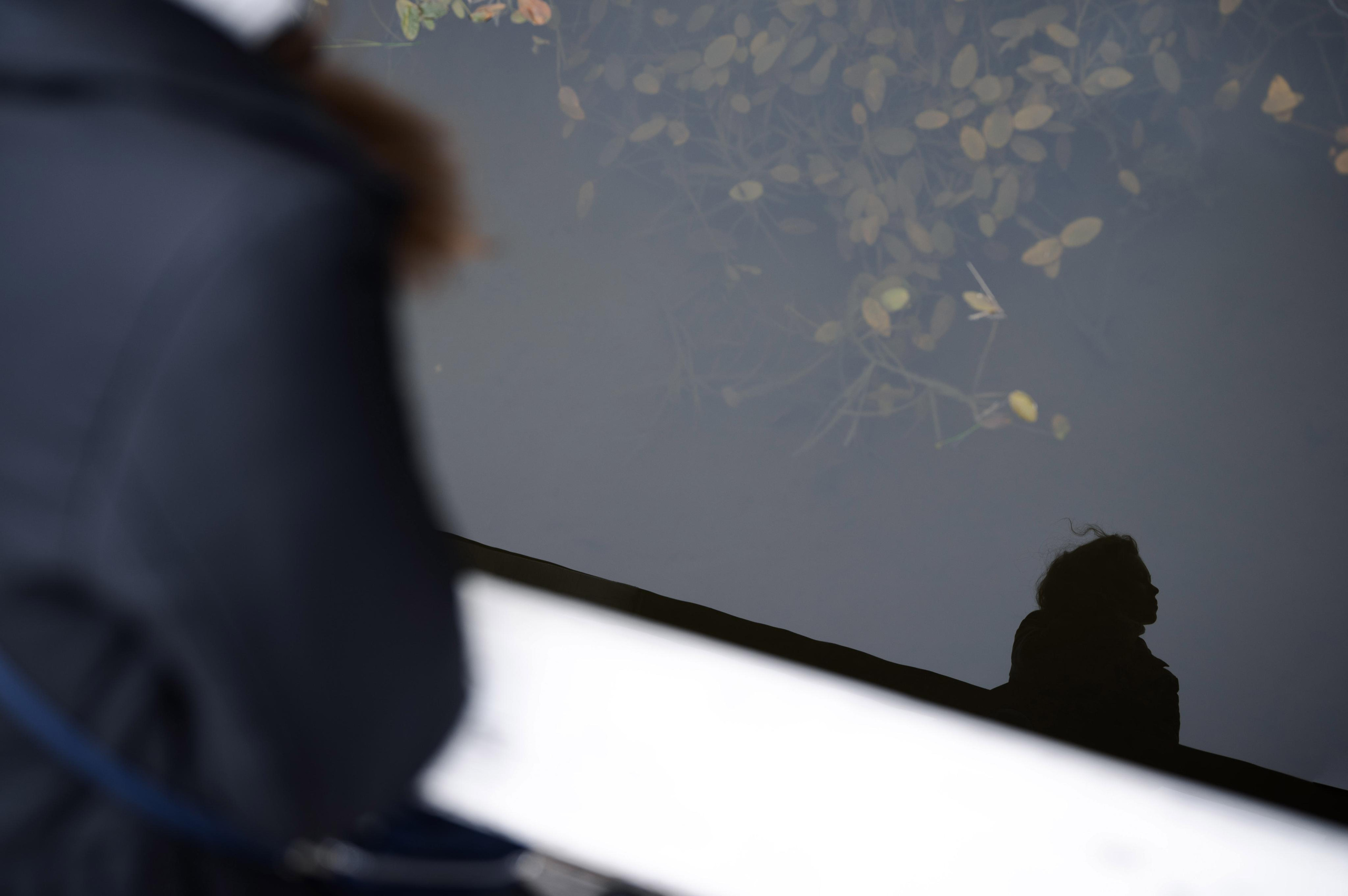 Атмосферно, свежо и красиво — фотосессия в осеннем лесу. Свадебный фотограф Йошкар-Ола Казань