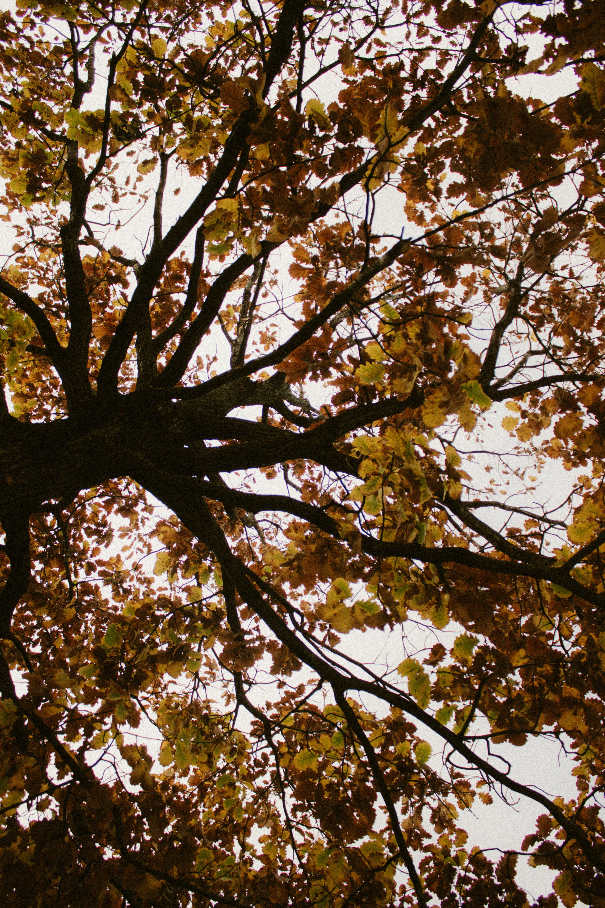 Лена|Парк Галицкого. Inga Simonova | Семейный и детский фотограф у моря