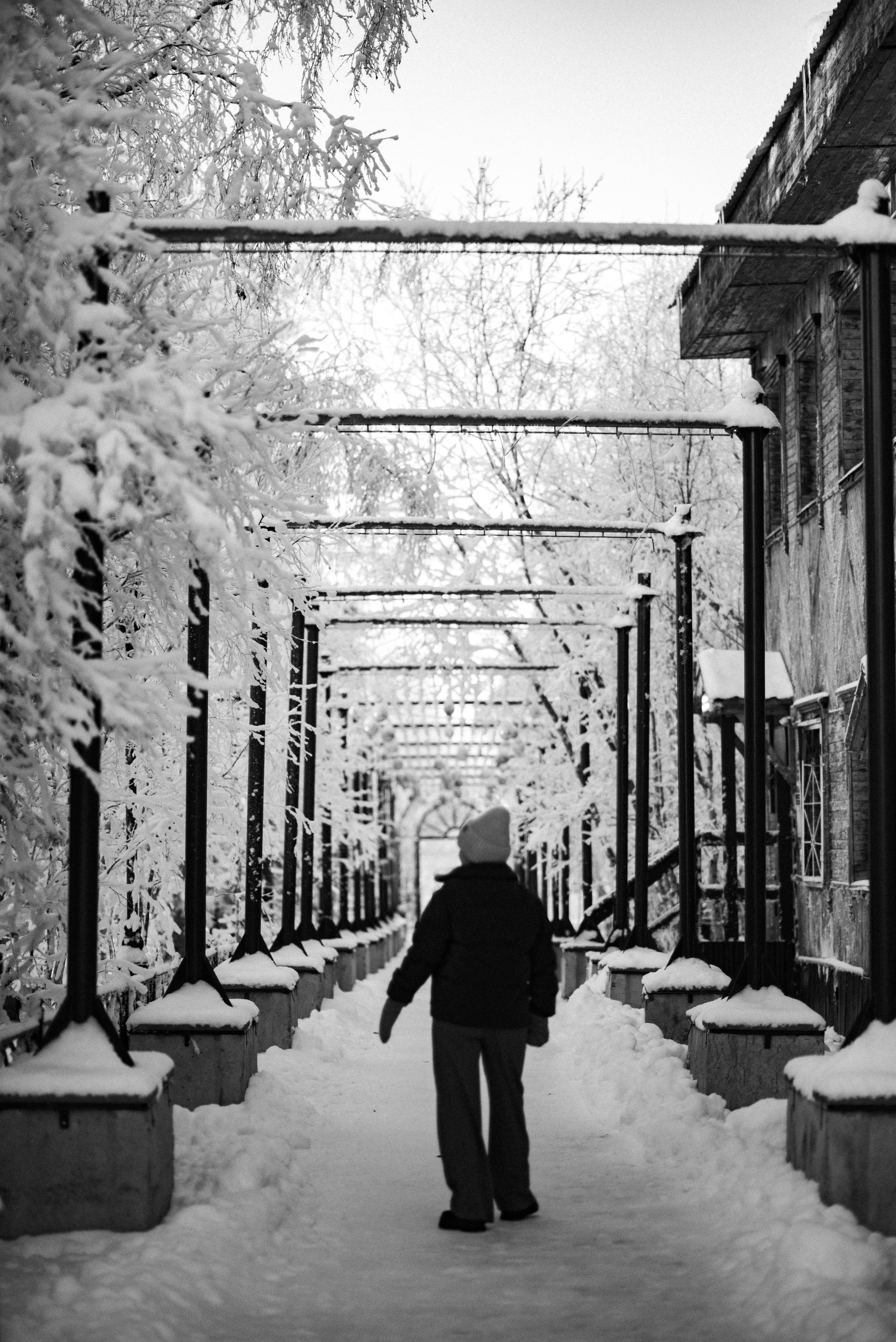 Искристый ноябрь. Семейный и детский фотограф в Санкт-Петербурге Татьяна Дмитренко