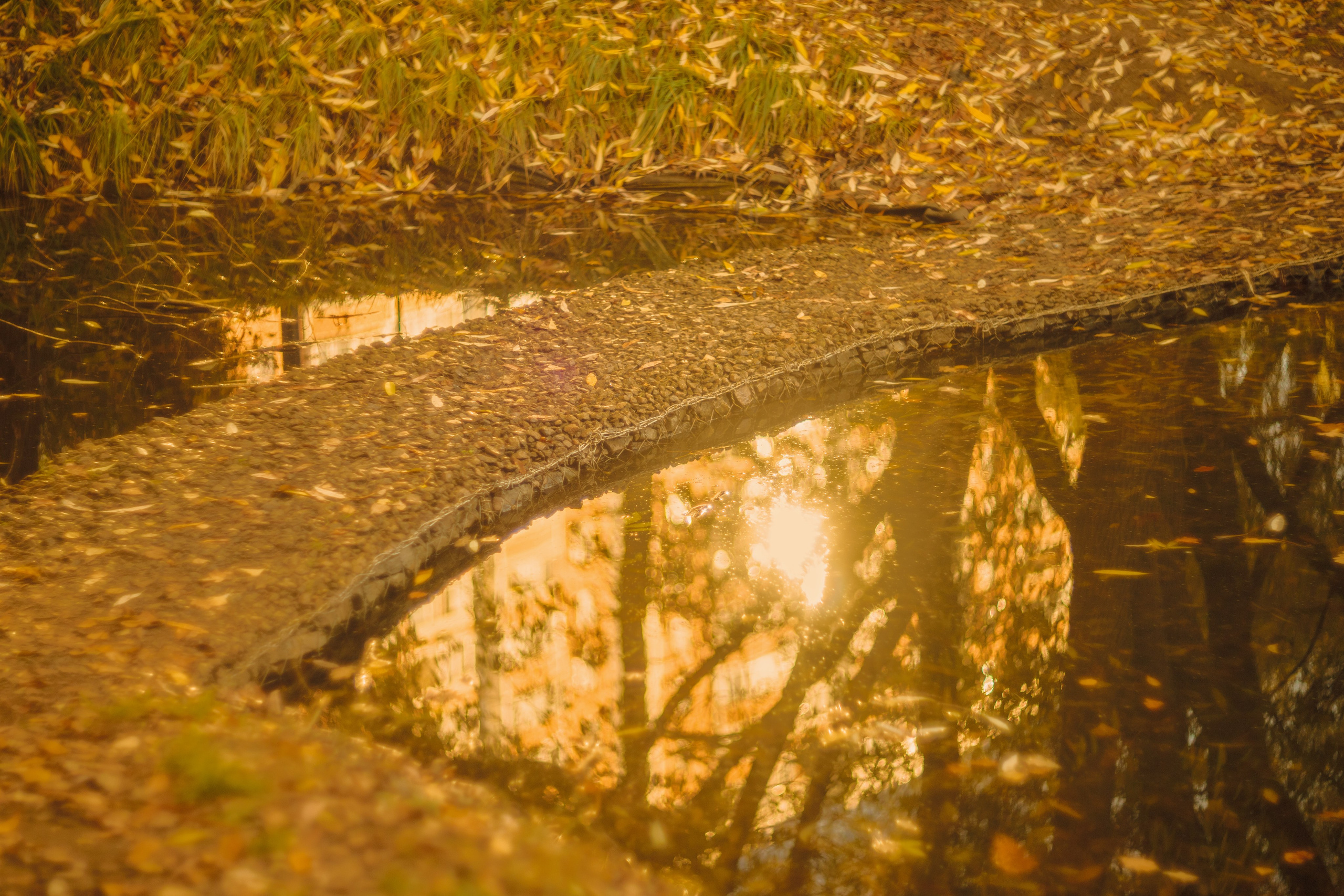 Серия «Цвет переосмыслений». Фотограф в Москве Татьяна Макотра