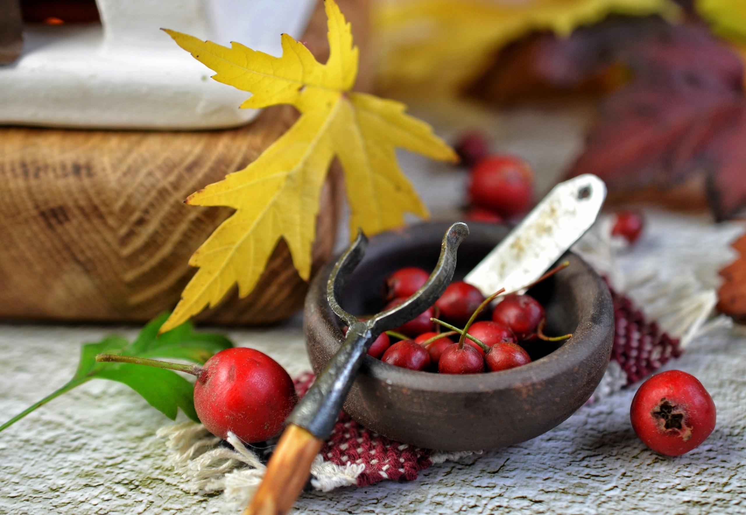 Занятия по лепке из глины. Изостудия «Мы рисуем!» ♥ Южное Бутово, Москва