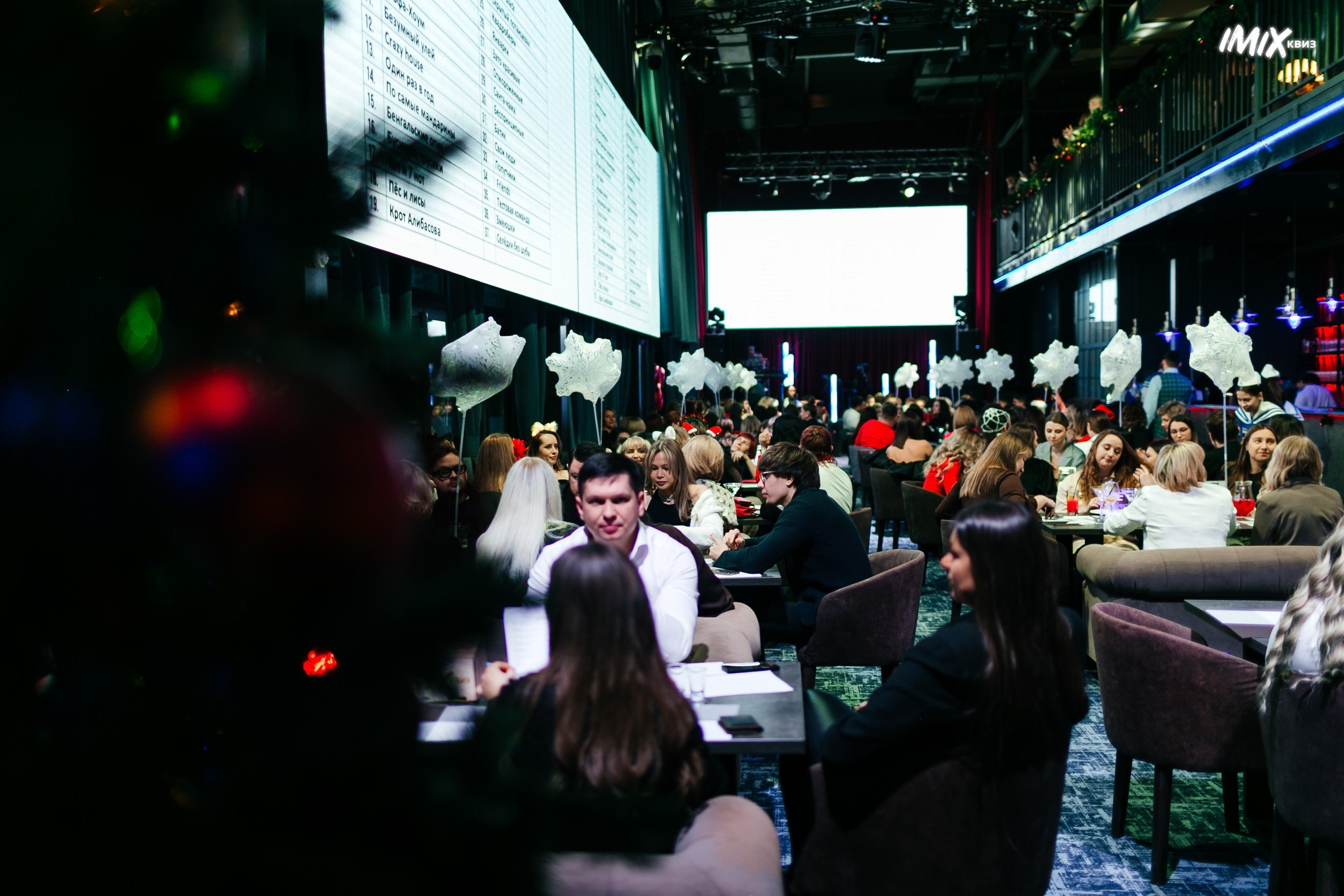 15.12 Imix. Новогодний. Команда специалистов в мире фотографии и видео. Детский фотограф, семейный фотограф