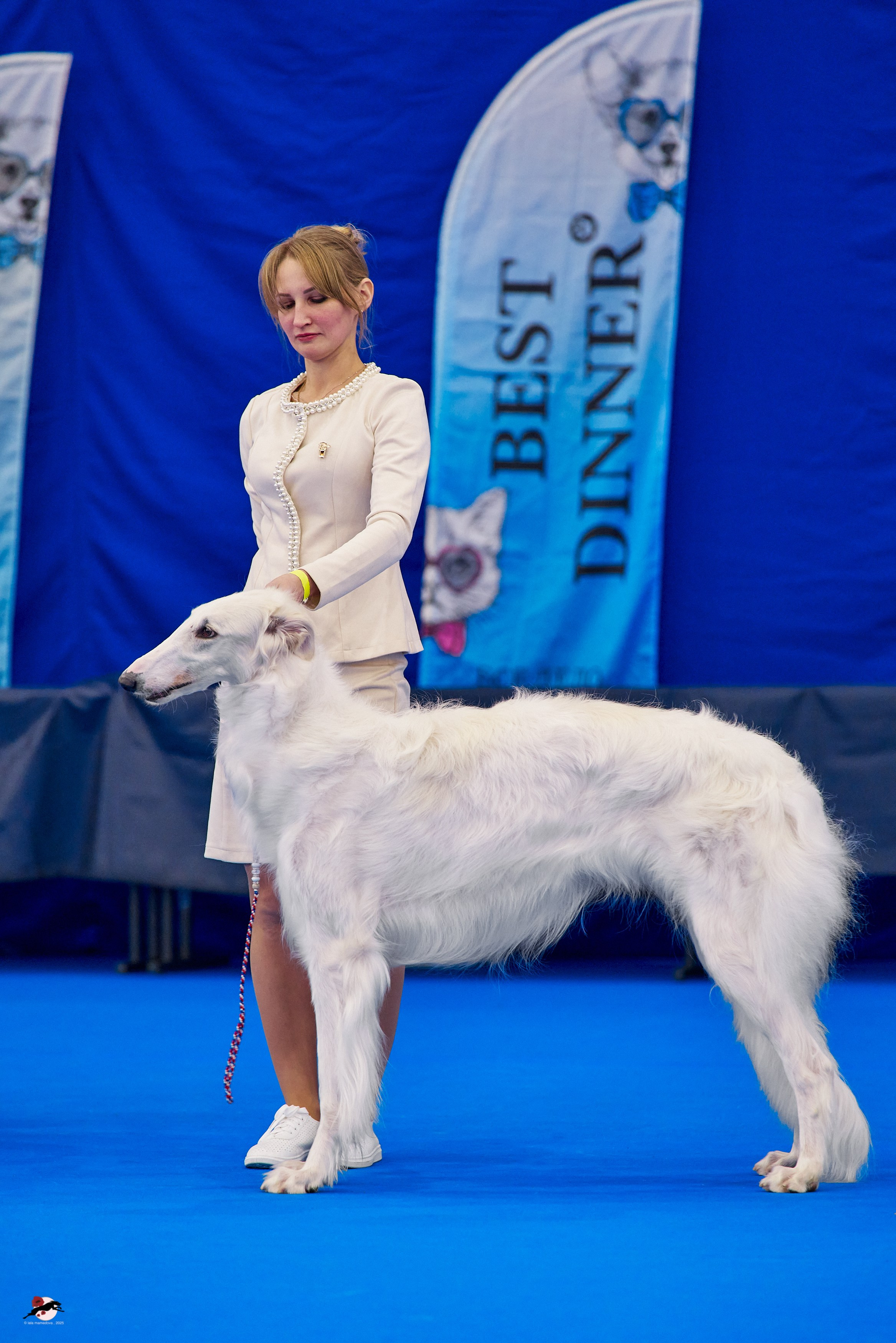 ГРАН ПРИ «ВЕСЕННИЙ ПЕТЕРБУРГ» & «СУПЕР КУБОК «ЭЛИТЫ»-2025»