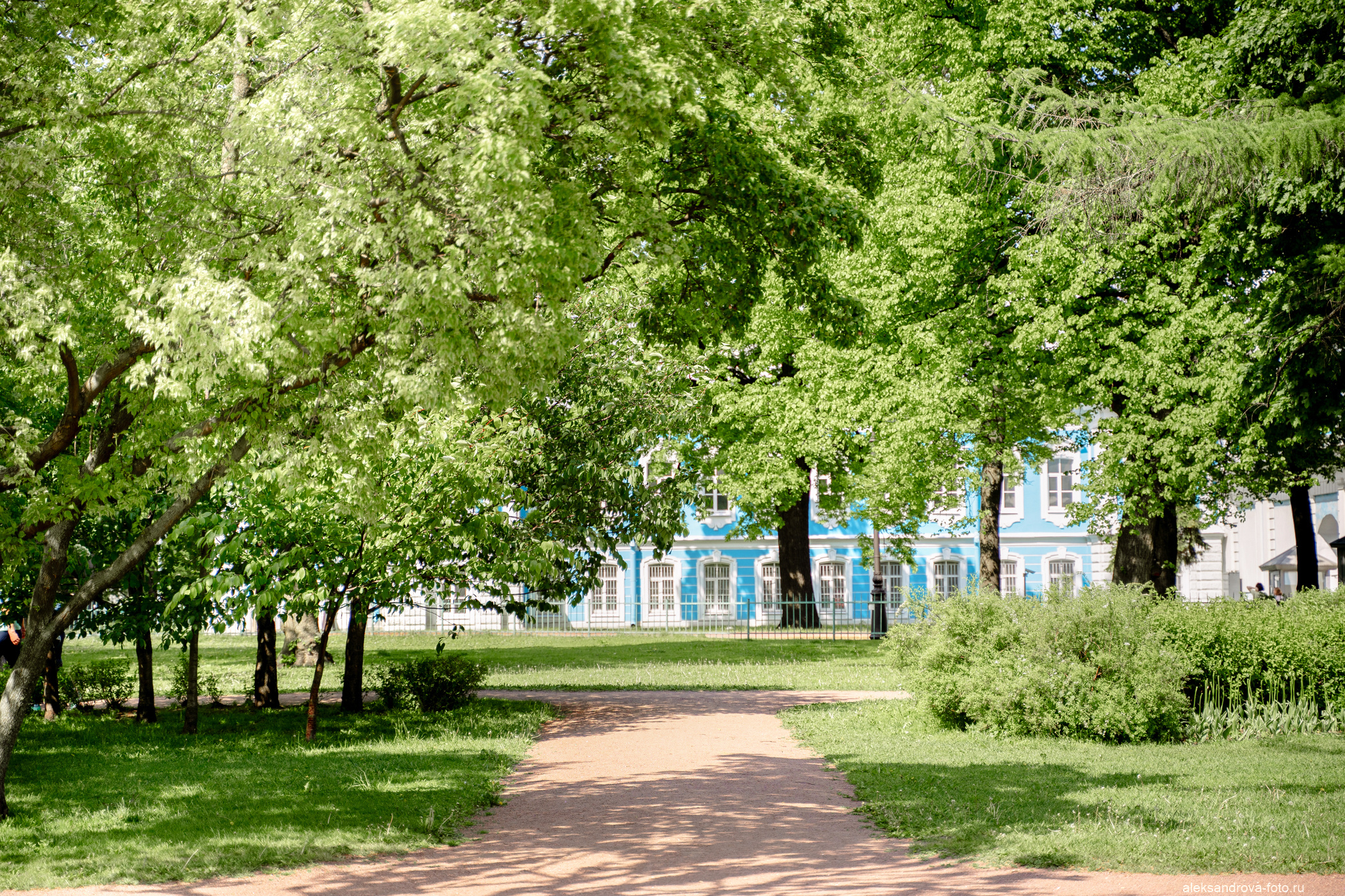 Сады и парки. Фотограф беременных в СПб — Елена Александрова