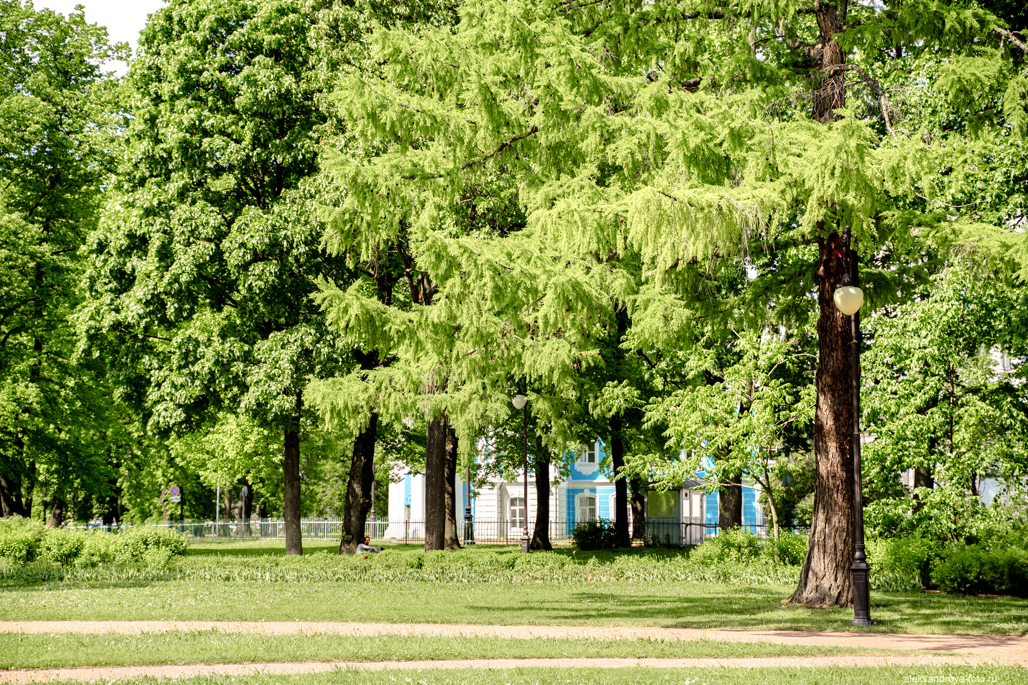 Сады и парки. Фотограф беременных в СПб — Елена Александрова