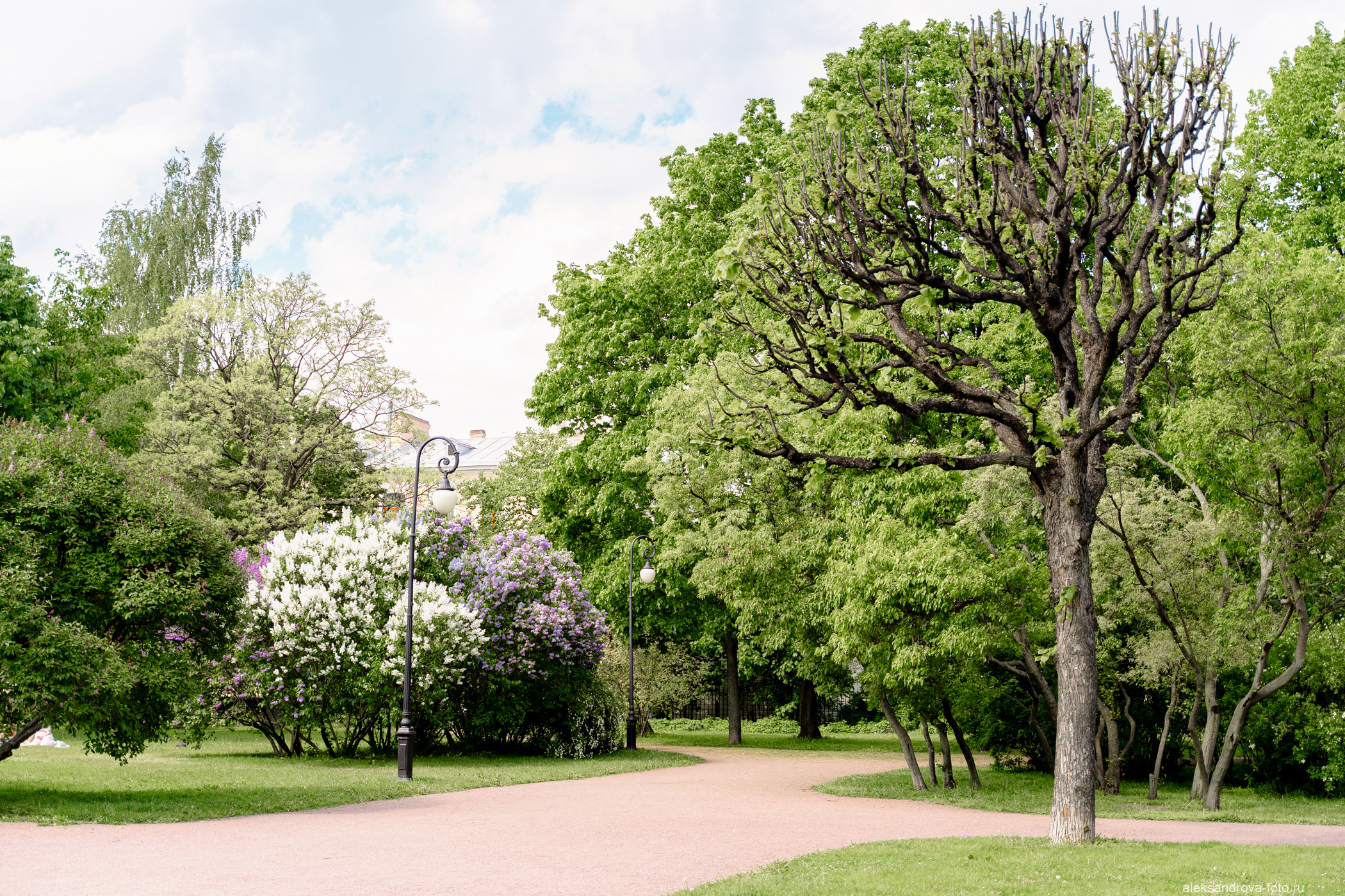 Сады и парки. Фотограф беременных в СПб — Елена Александрова