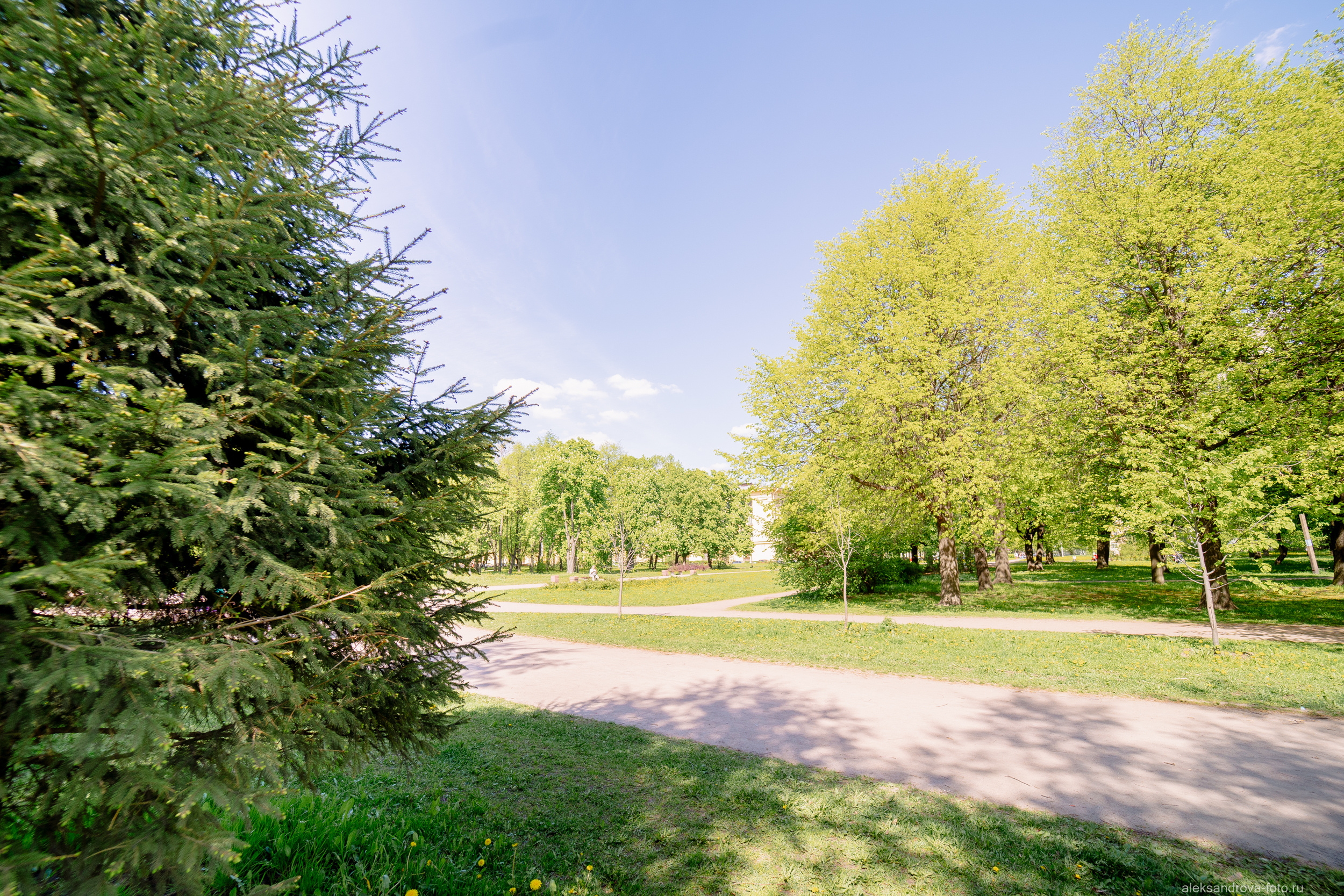 Сады и парки. Фотограф беременных в СПб — Елена Александрова