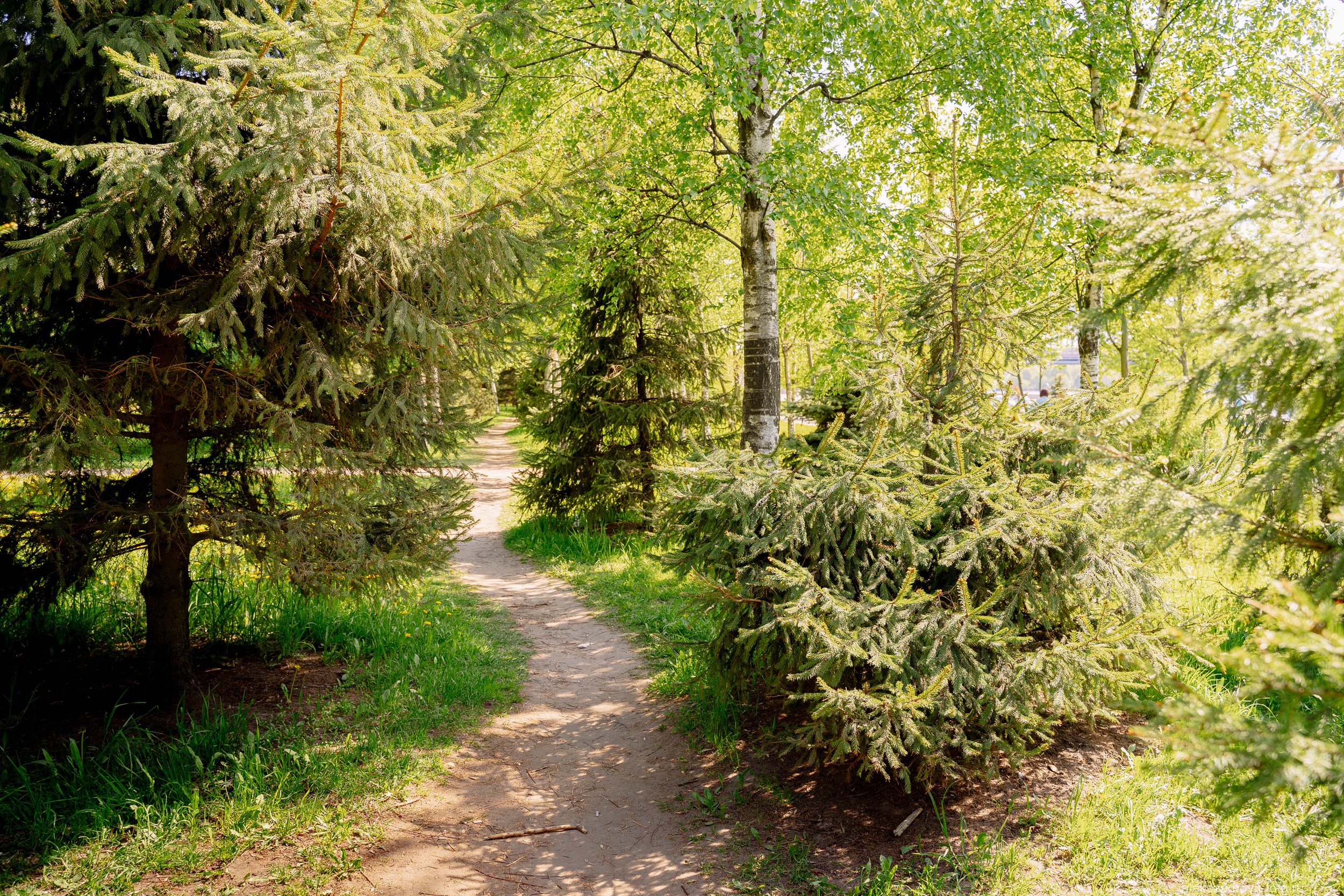 Сады и парки. Фотограф беременных в СПб — Елена Александрова