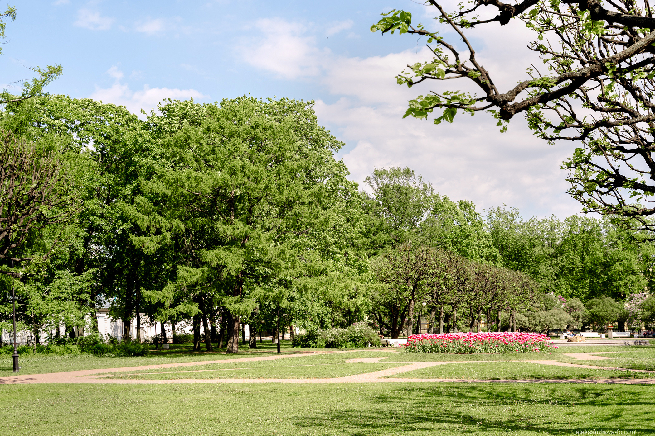 Сады и парки. Фотограф беременных в СПб — Елена Александрова