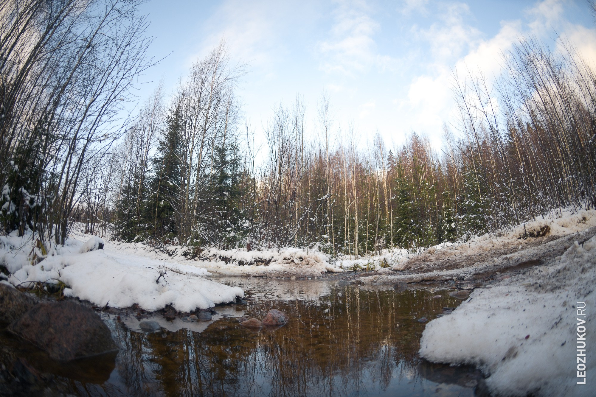 Rally Vyborg 2024. Sports photographer Leonid Zhukov