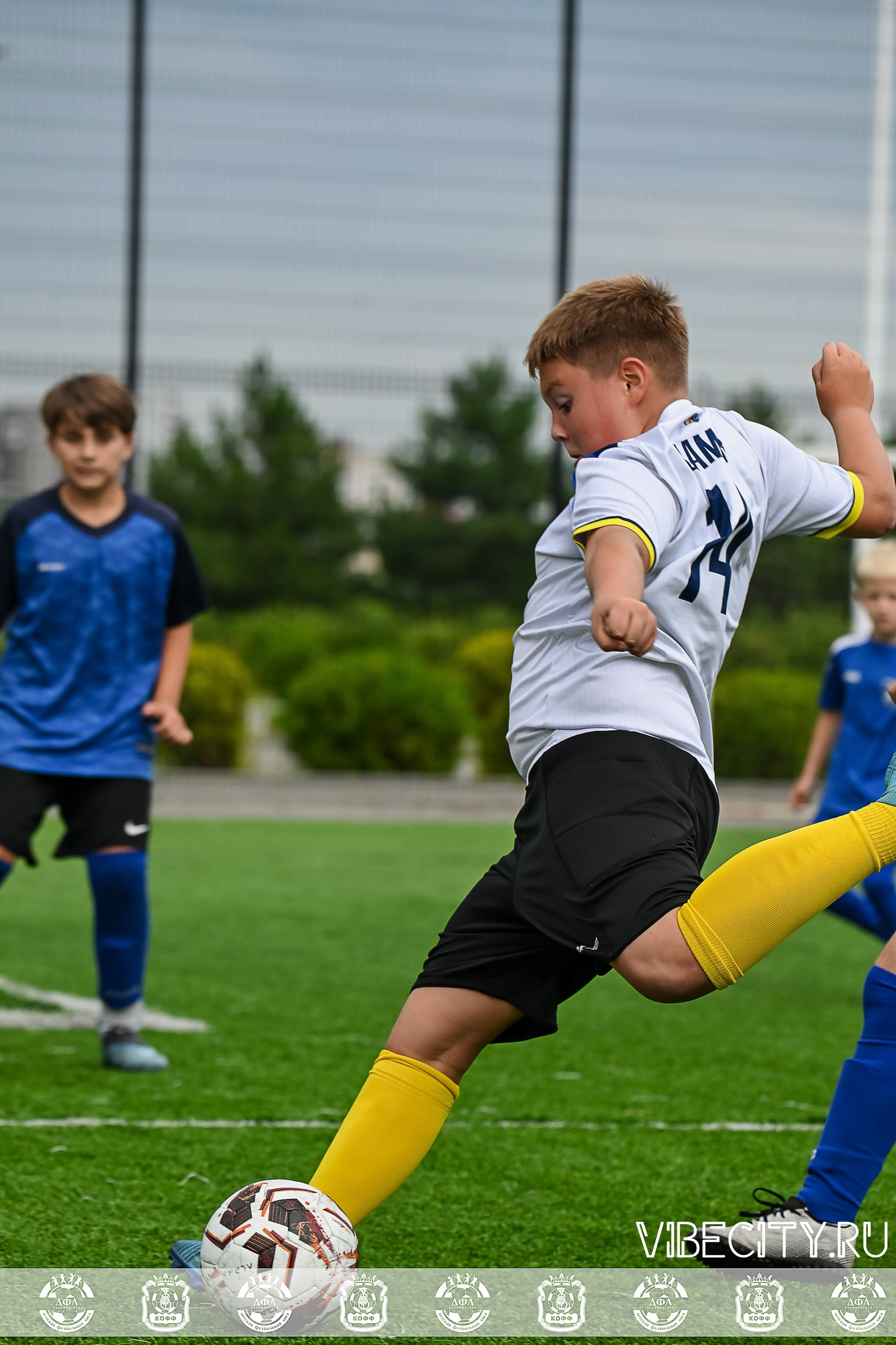 Калининградская Детская Футбольная Лига. VIBECITY.RU Вайб Сити Ру Фоторепортажи Фотоотчеты Калининград
