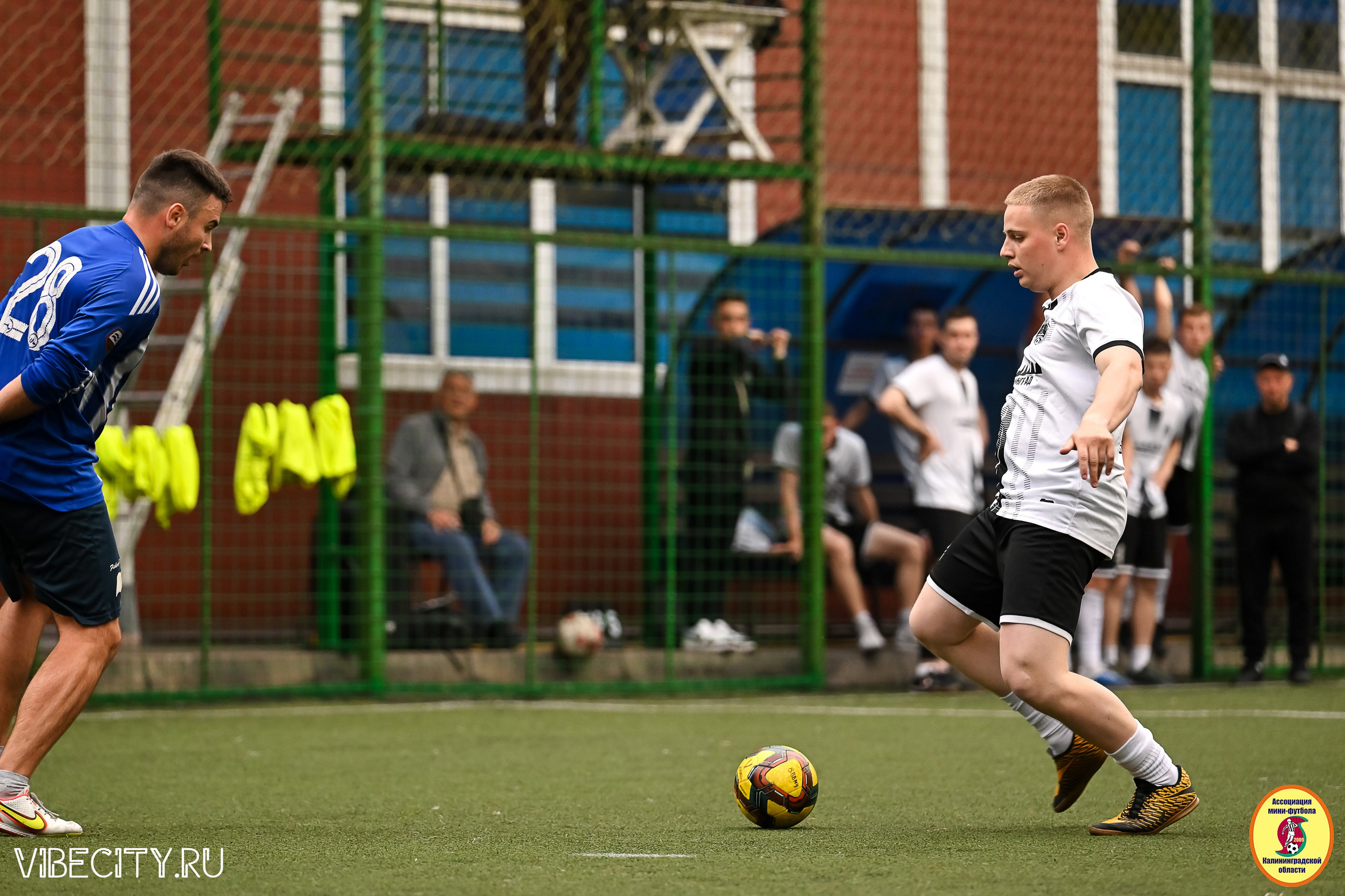 ИГРЫ МИНИ-ФУТБОЛЬНОЙ И КОРПОРАТИВНОЙ ЛИГИ. VIBECITY.RU Вайб Сити Ру Фоторепортажи Фотоотчеты Калининград