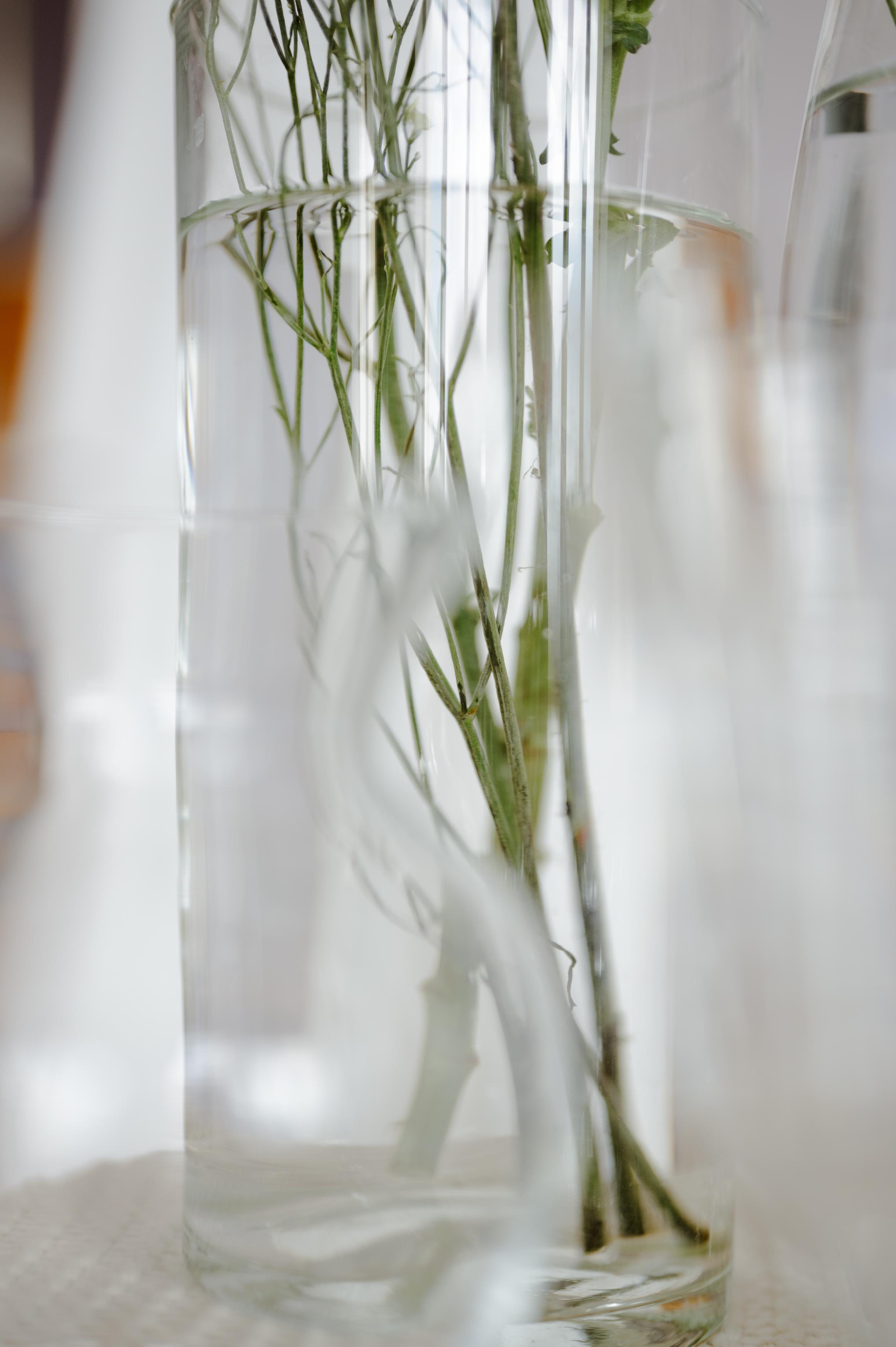 Fashion Bride. Свадебный фотограф Йошкар-Ола Казань