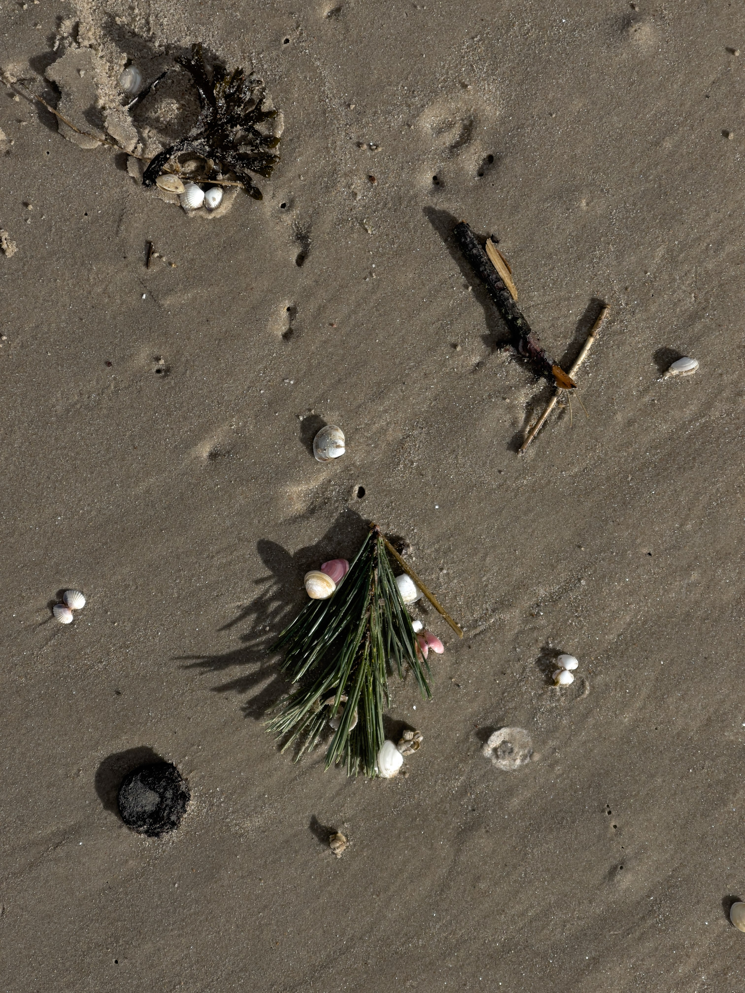 HEYDAY. Daria Blinova