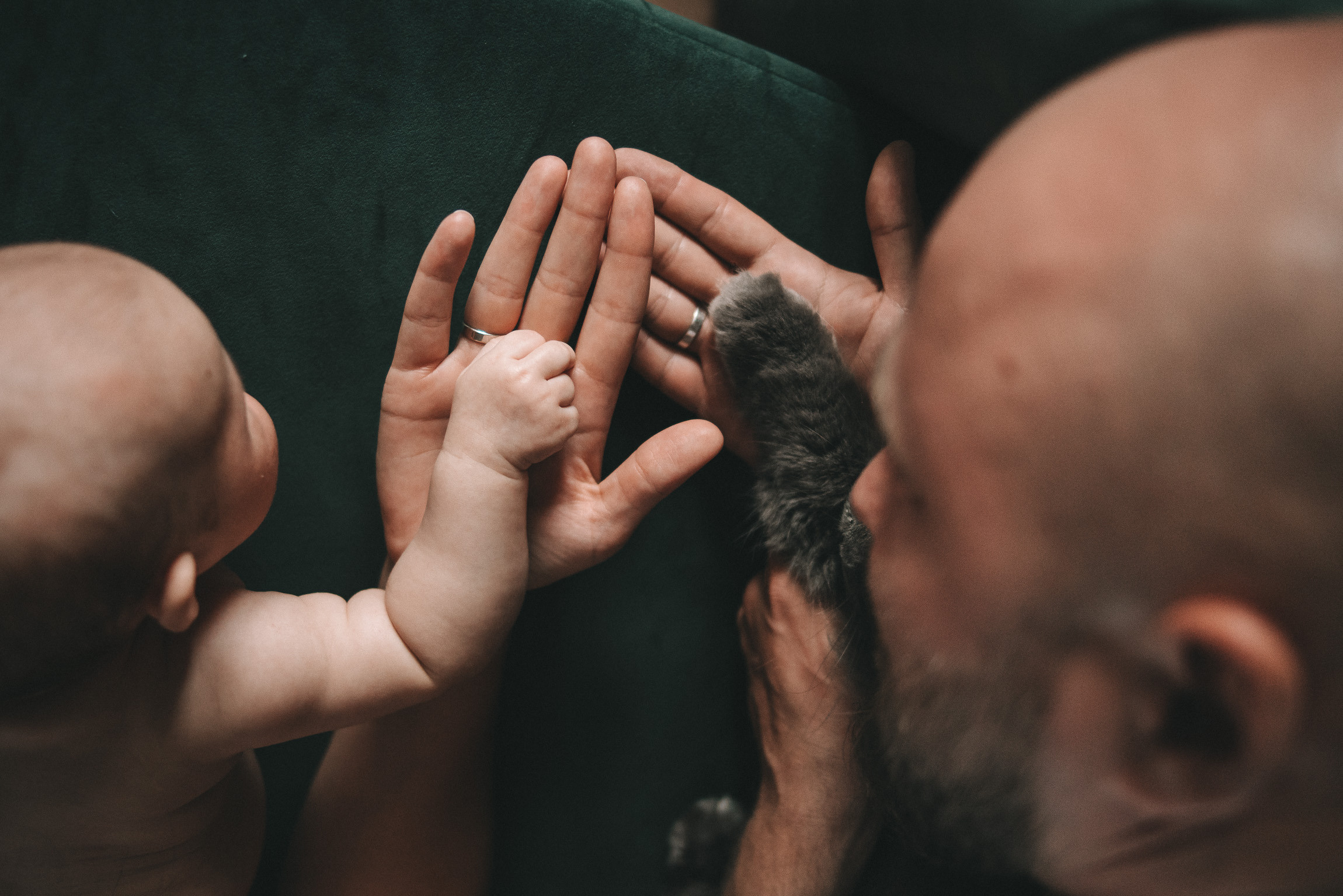 Далия. Фотограф новорожденных в стиле lifestyle в Воронеже Юлия Ключникова